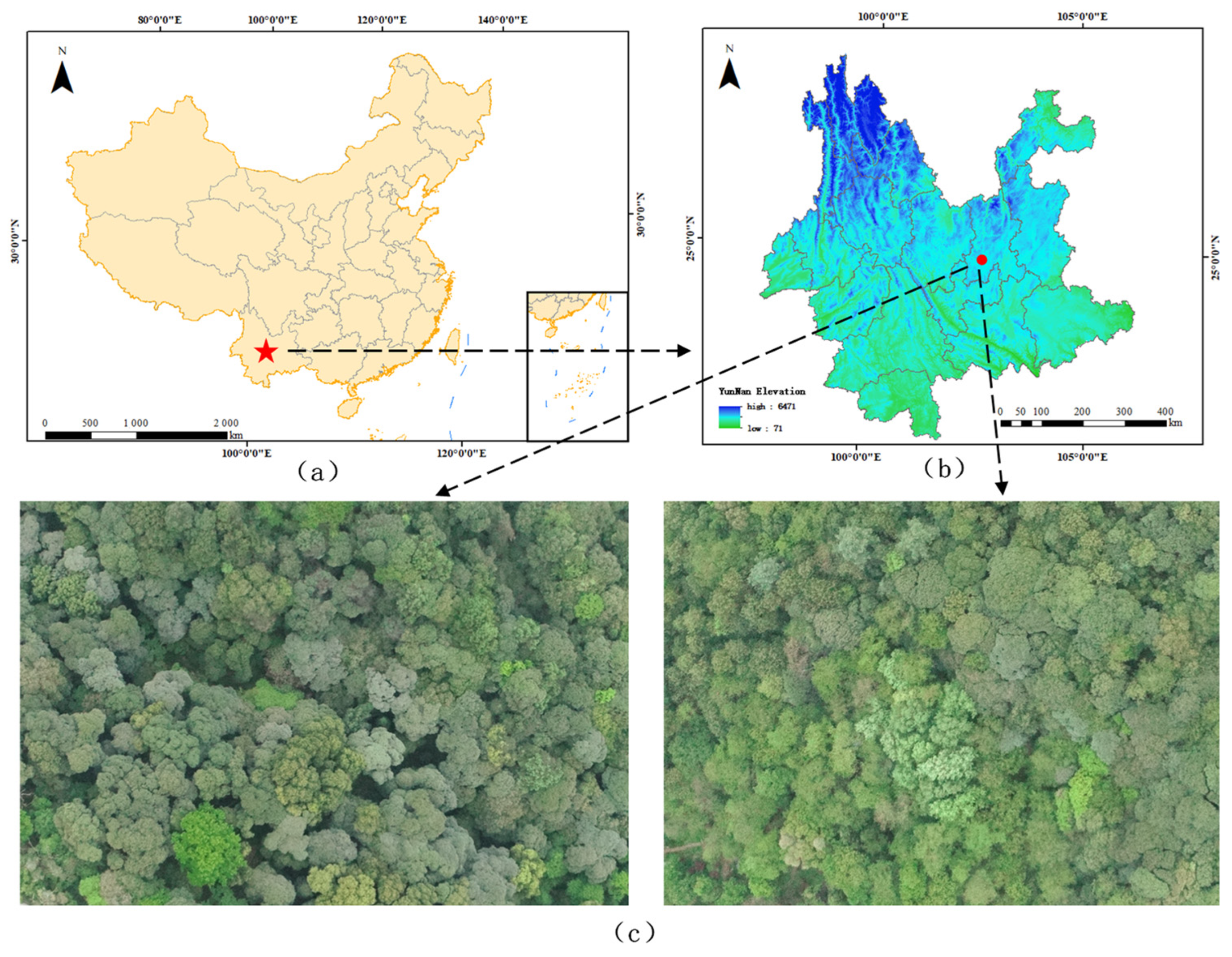 Forests 15 01310 g001