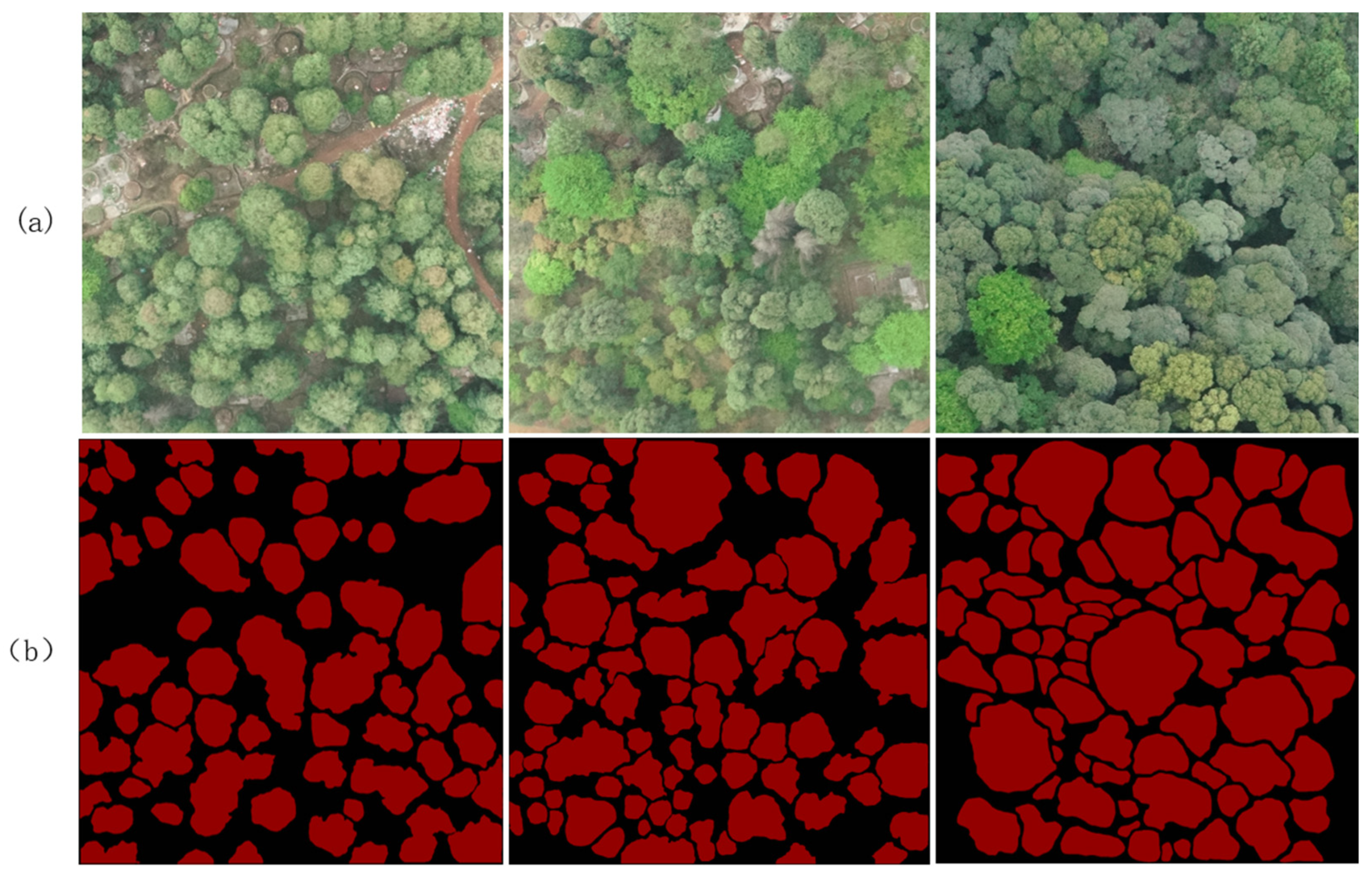 Forests 15 01310 g003