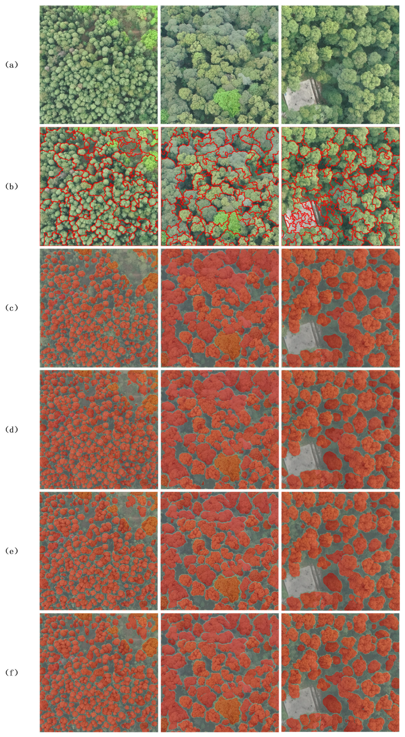 Forests 15 01310 g011