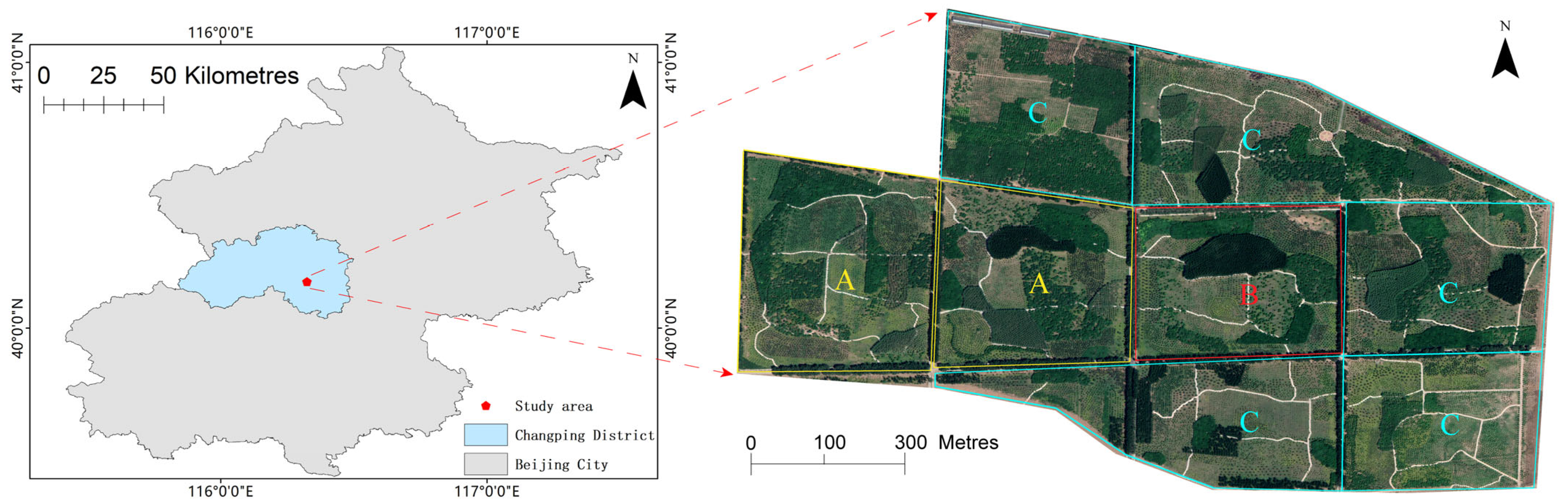 Forests 15 01320 g001