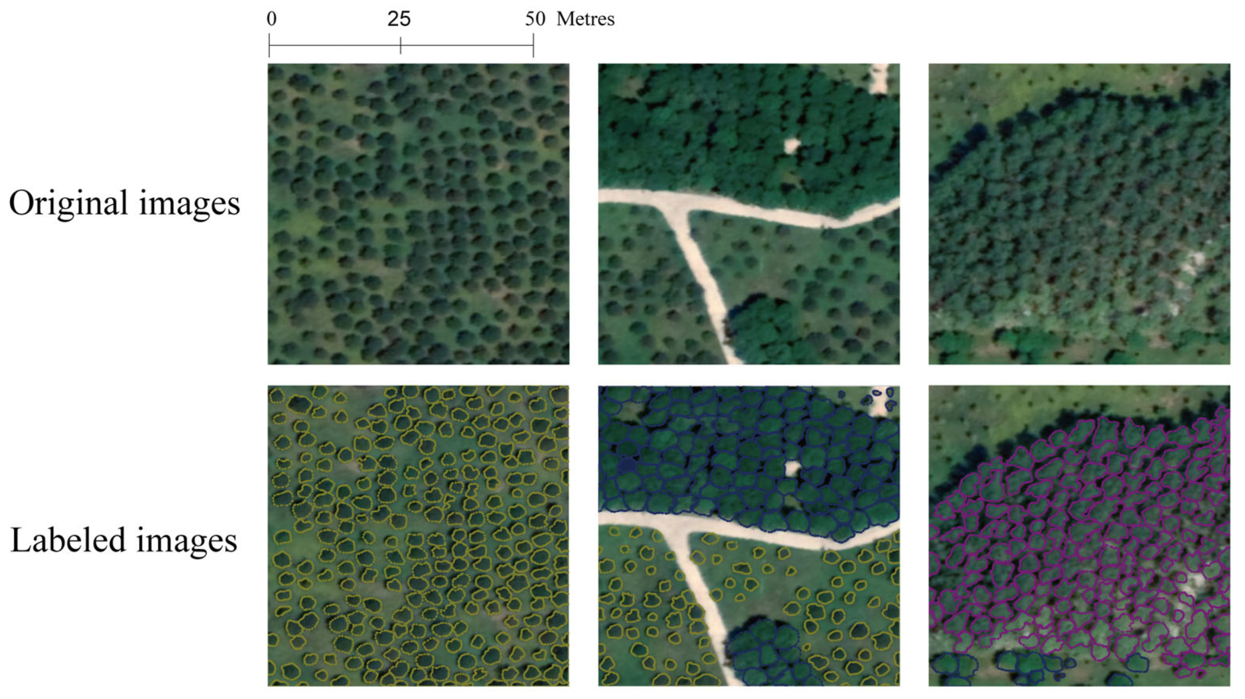 Forests 15 01320 g002
