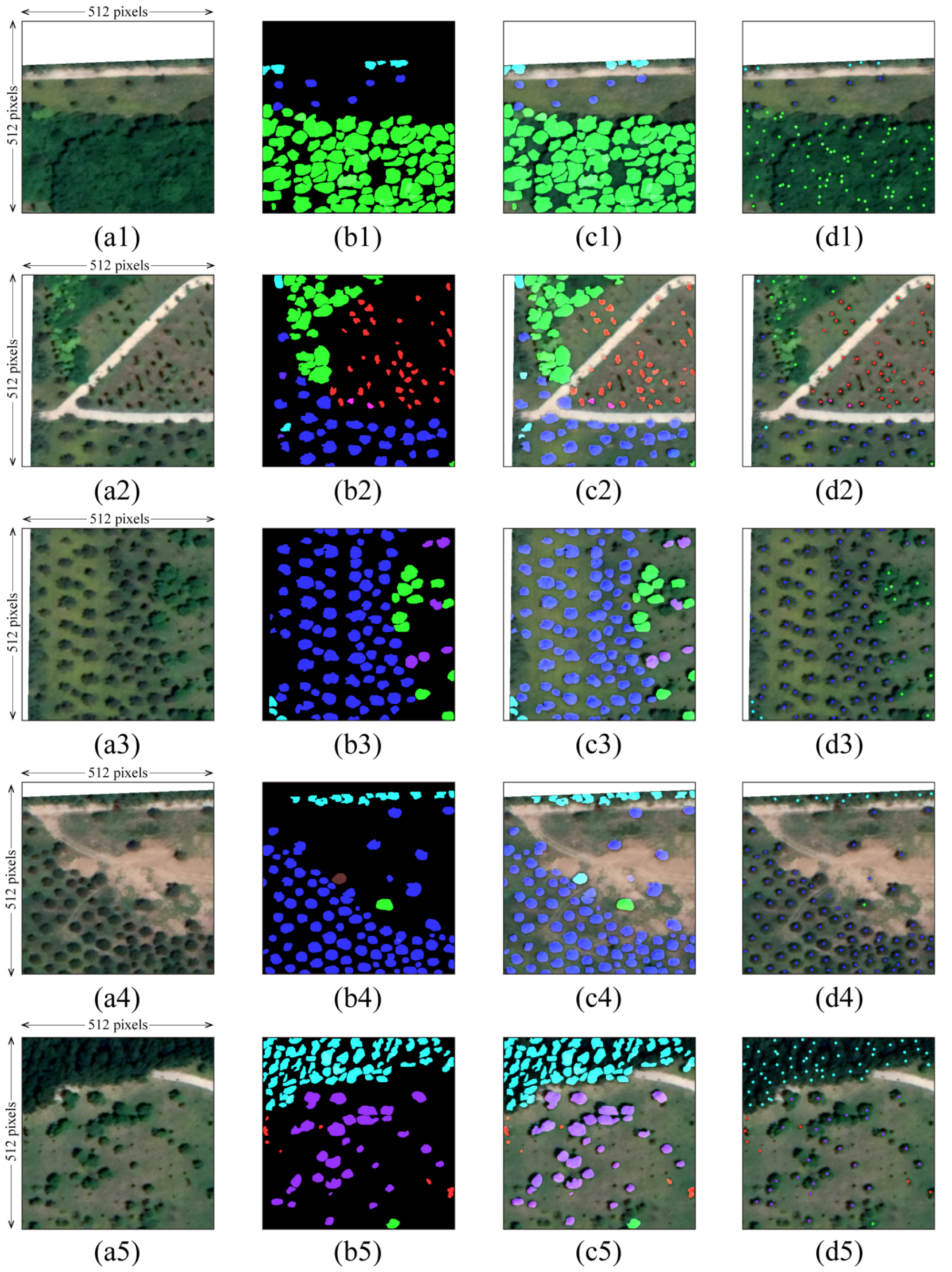 Forests 15 01320 g006