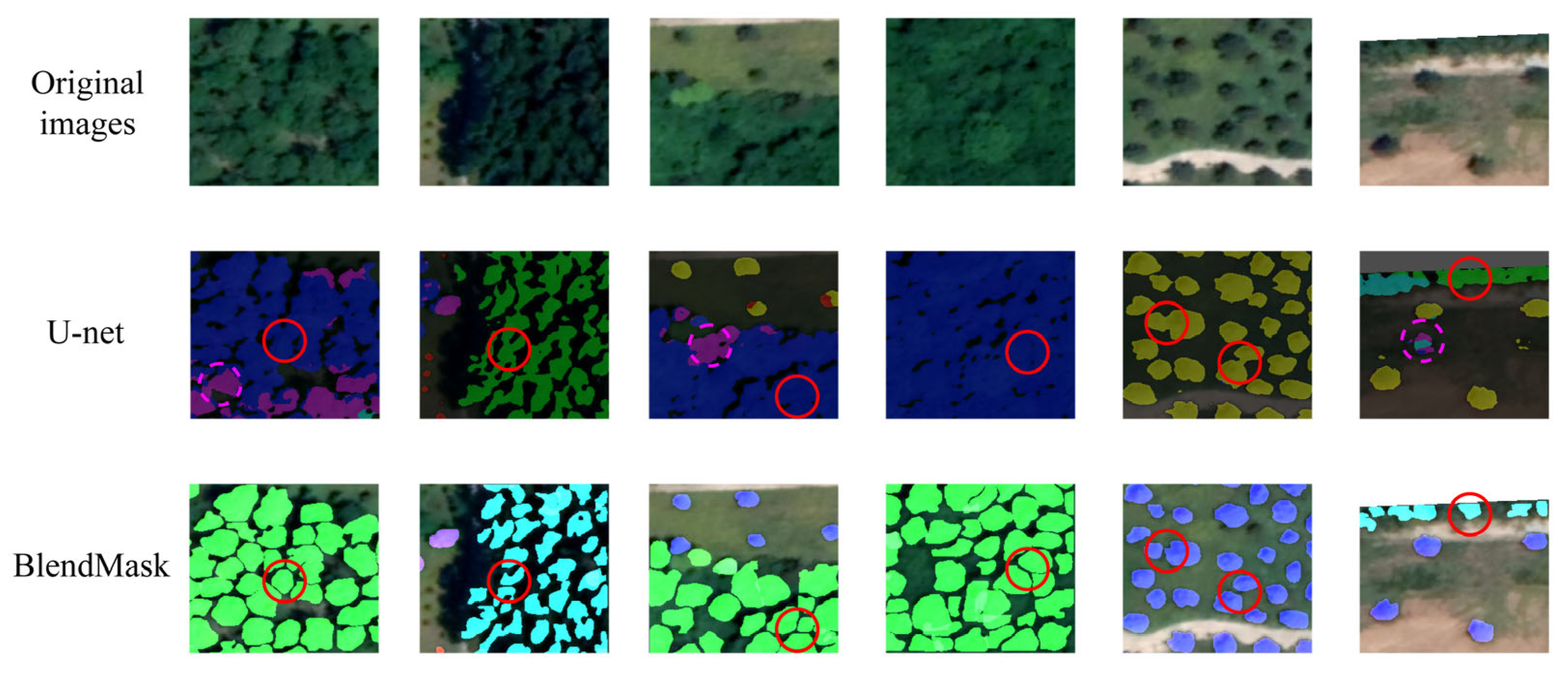 Forests 15 01320 g010