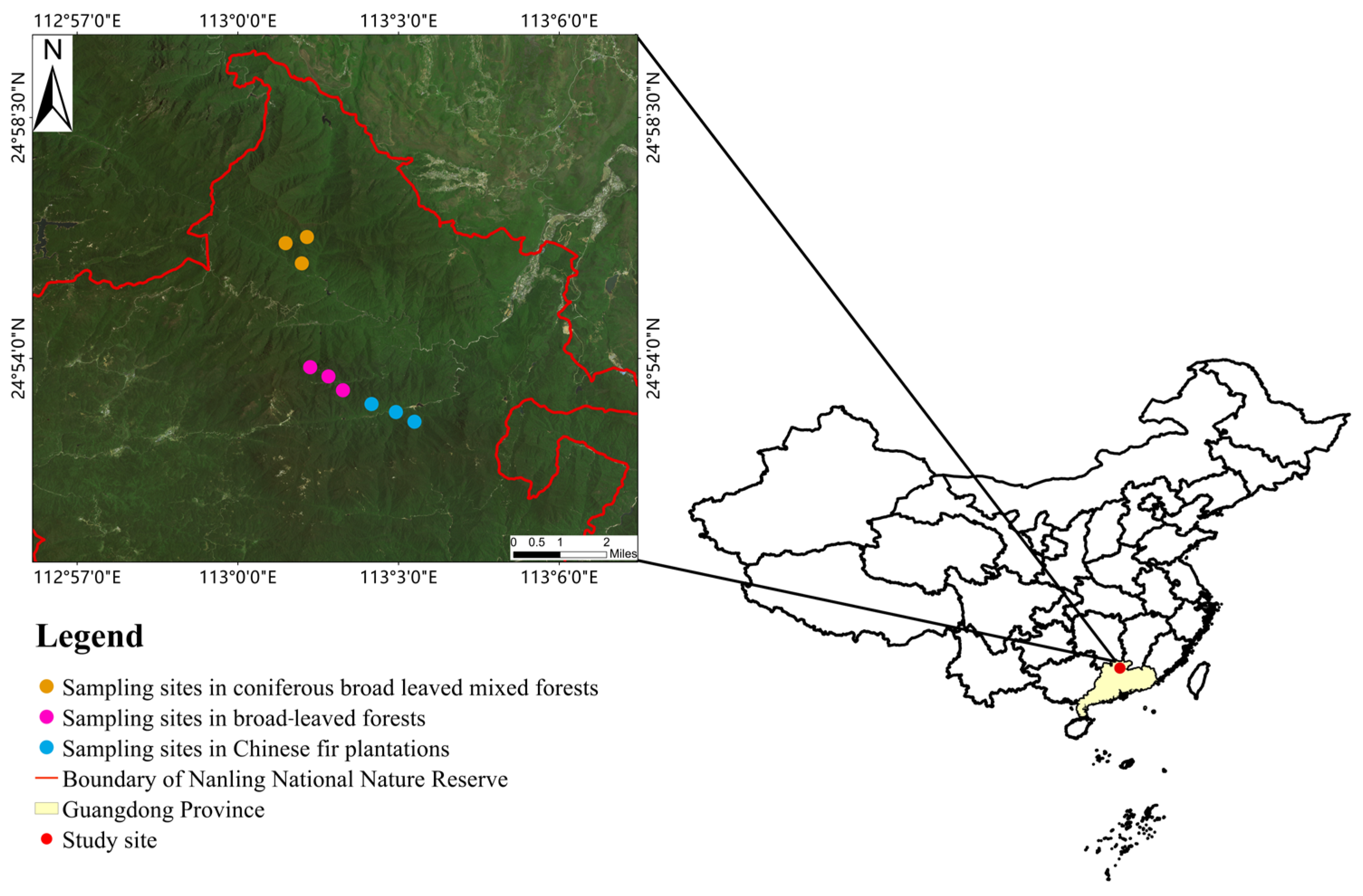 Forests 15 01330 g001