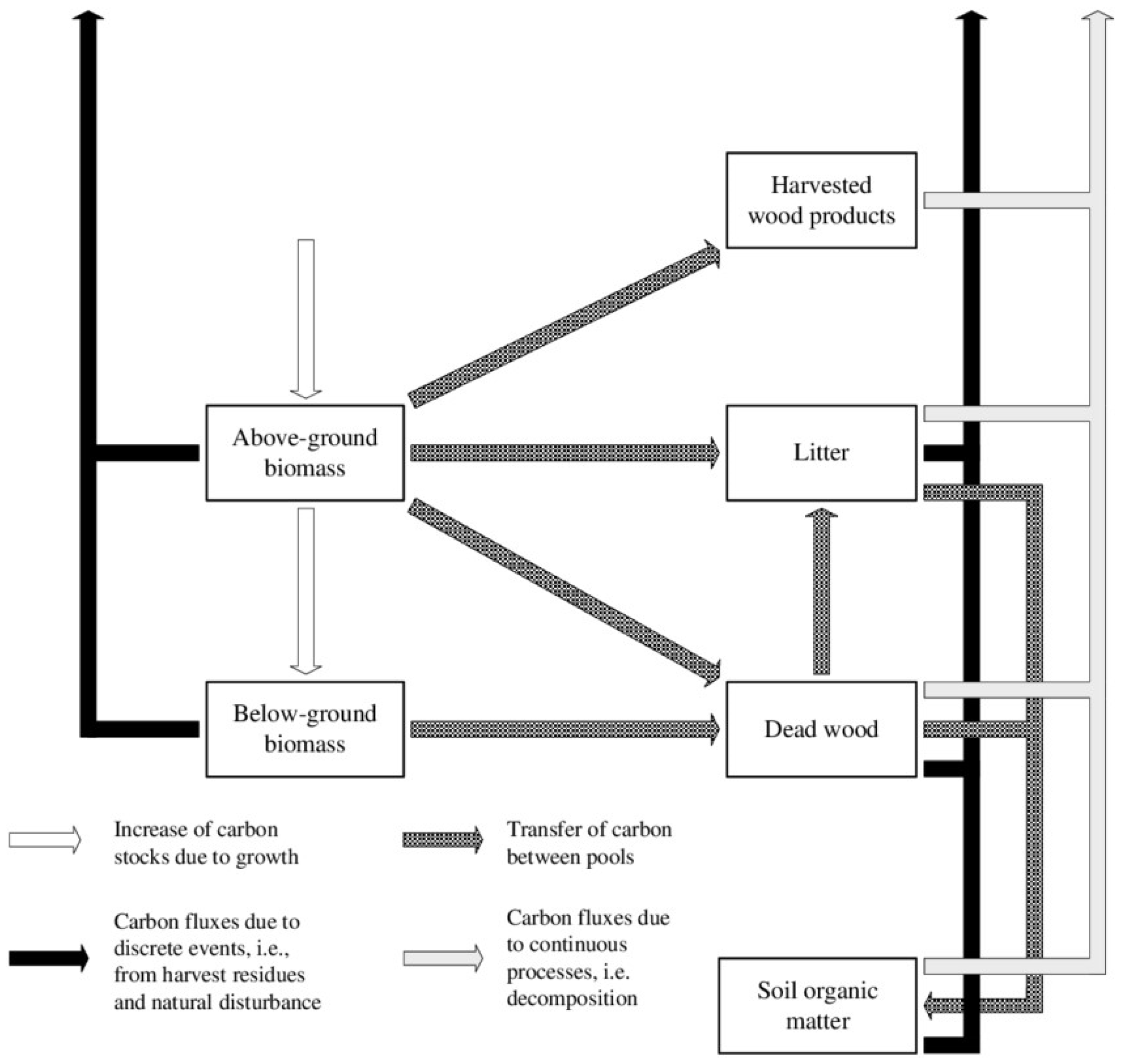 Forests 15 01335 g001