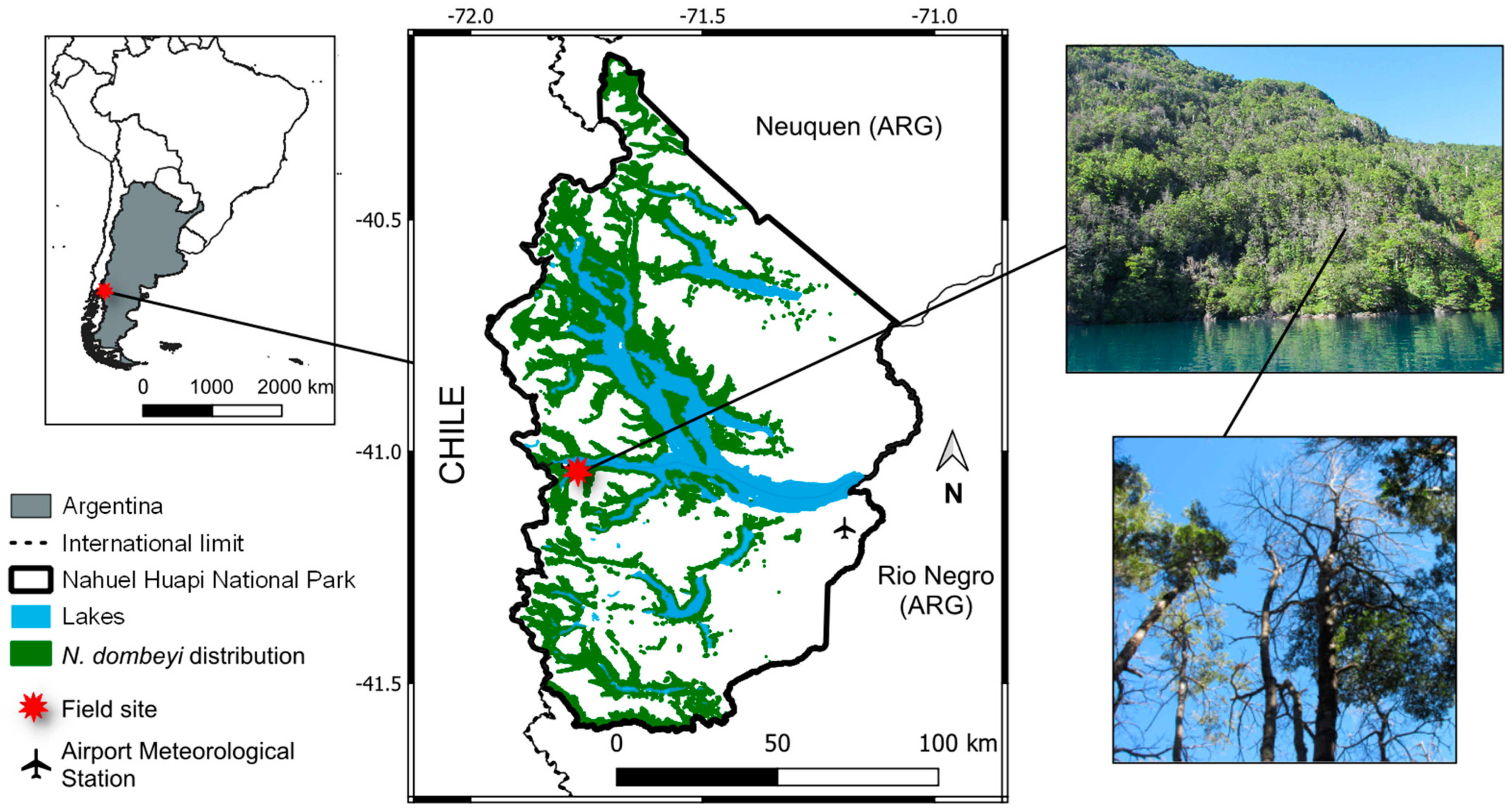 Forests 15 01355 g001