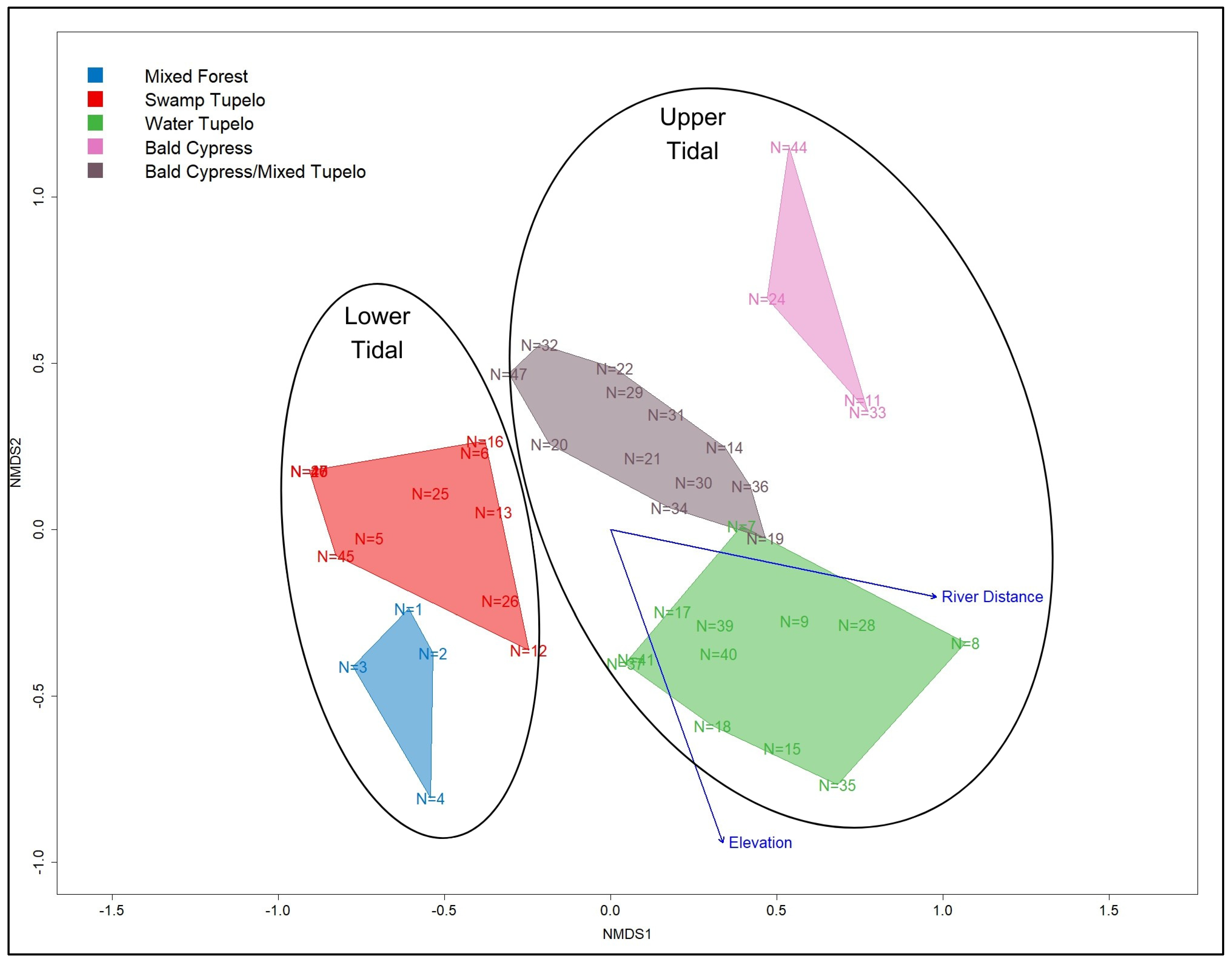 Forests 15 01359 g005