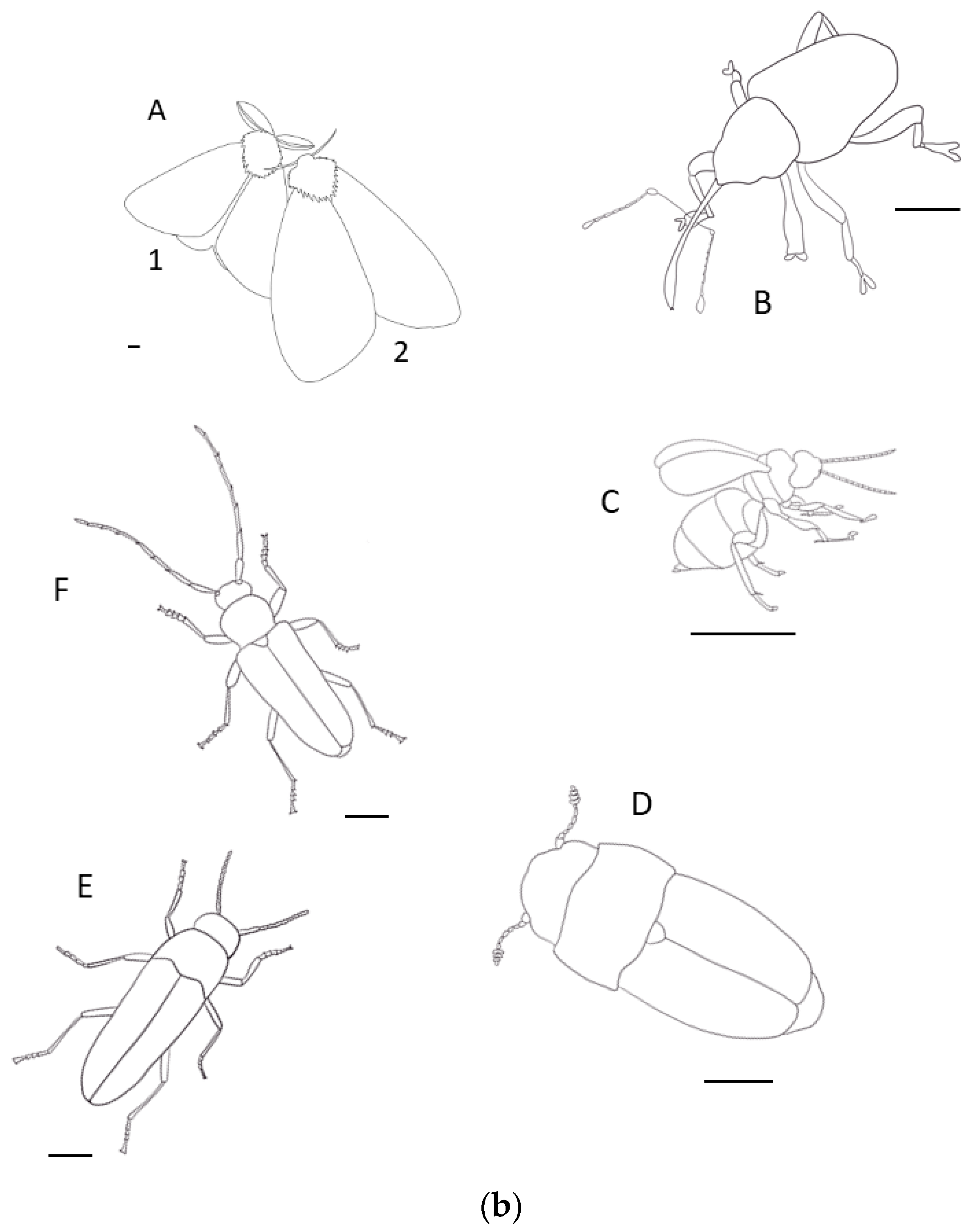 Forests 15 01361 g001b