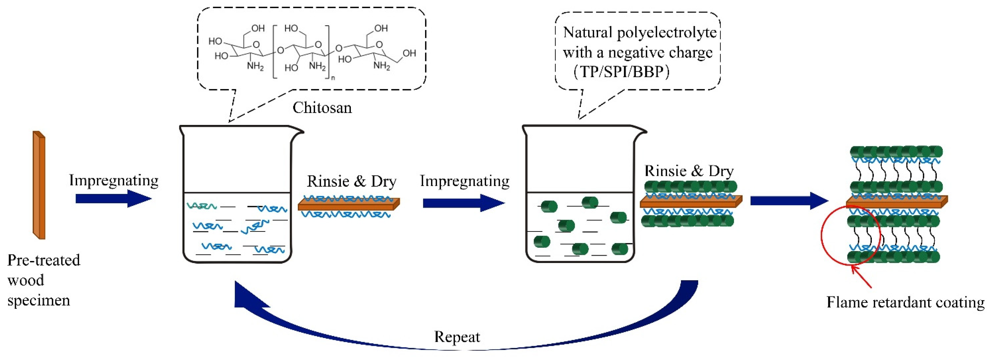 Forests 15 01362 g001