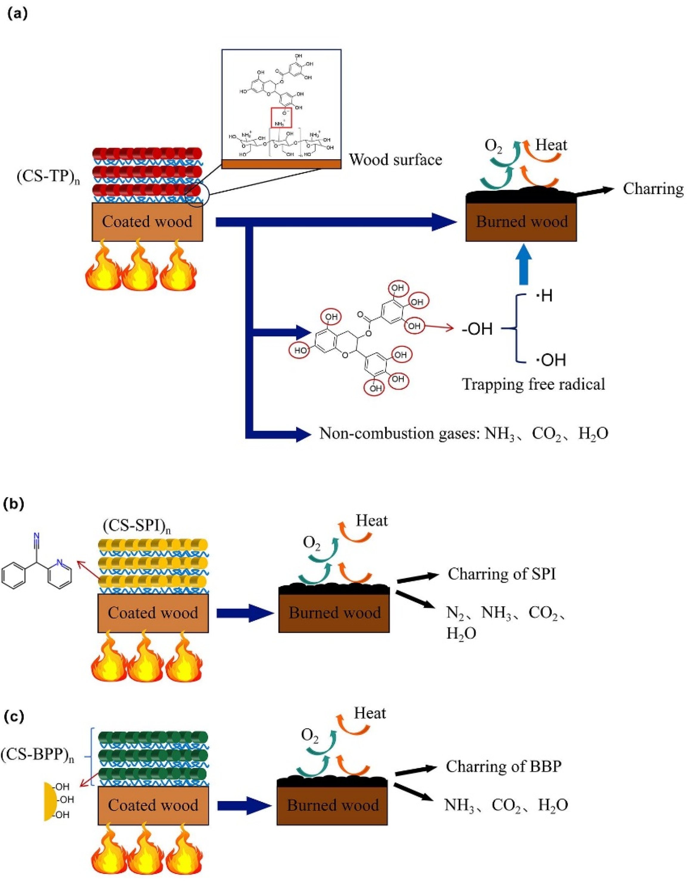 Forests 15 01362 g007