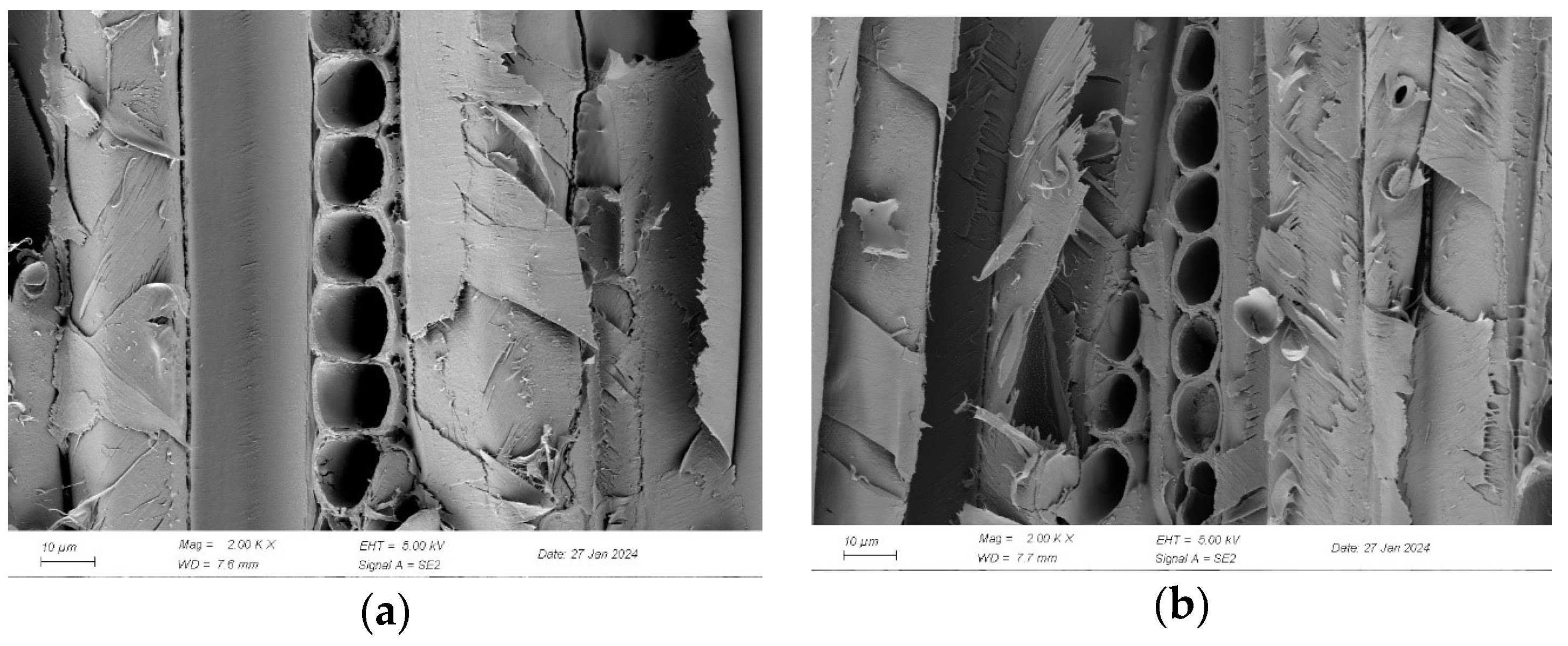 Forests 15 01370 g007a