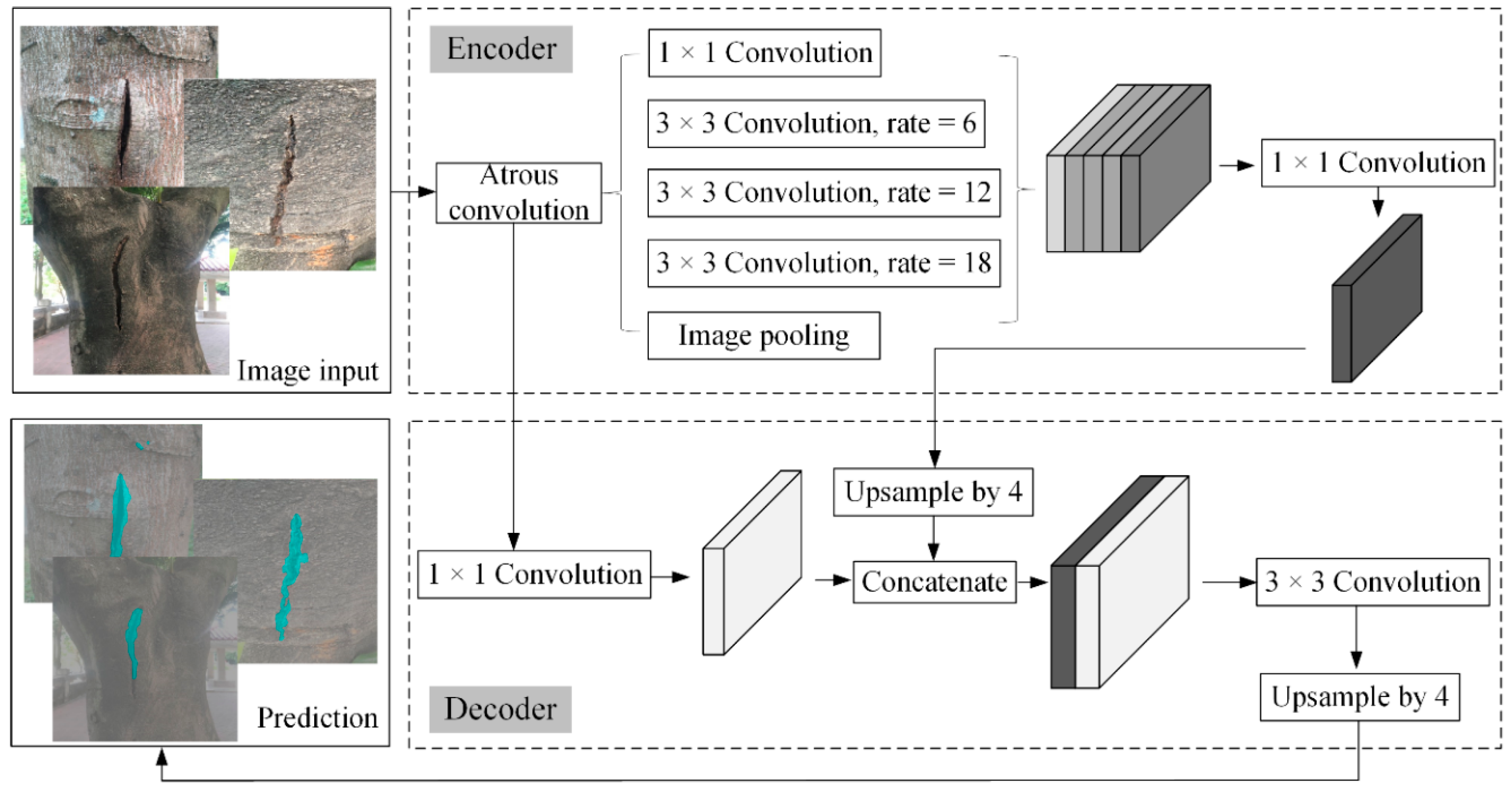 Forests 15 01374 g002