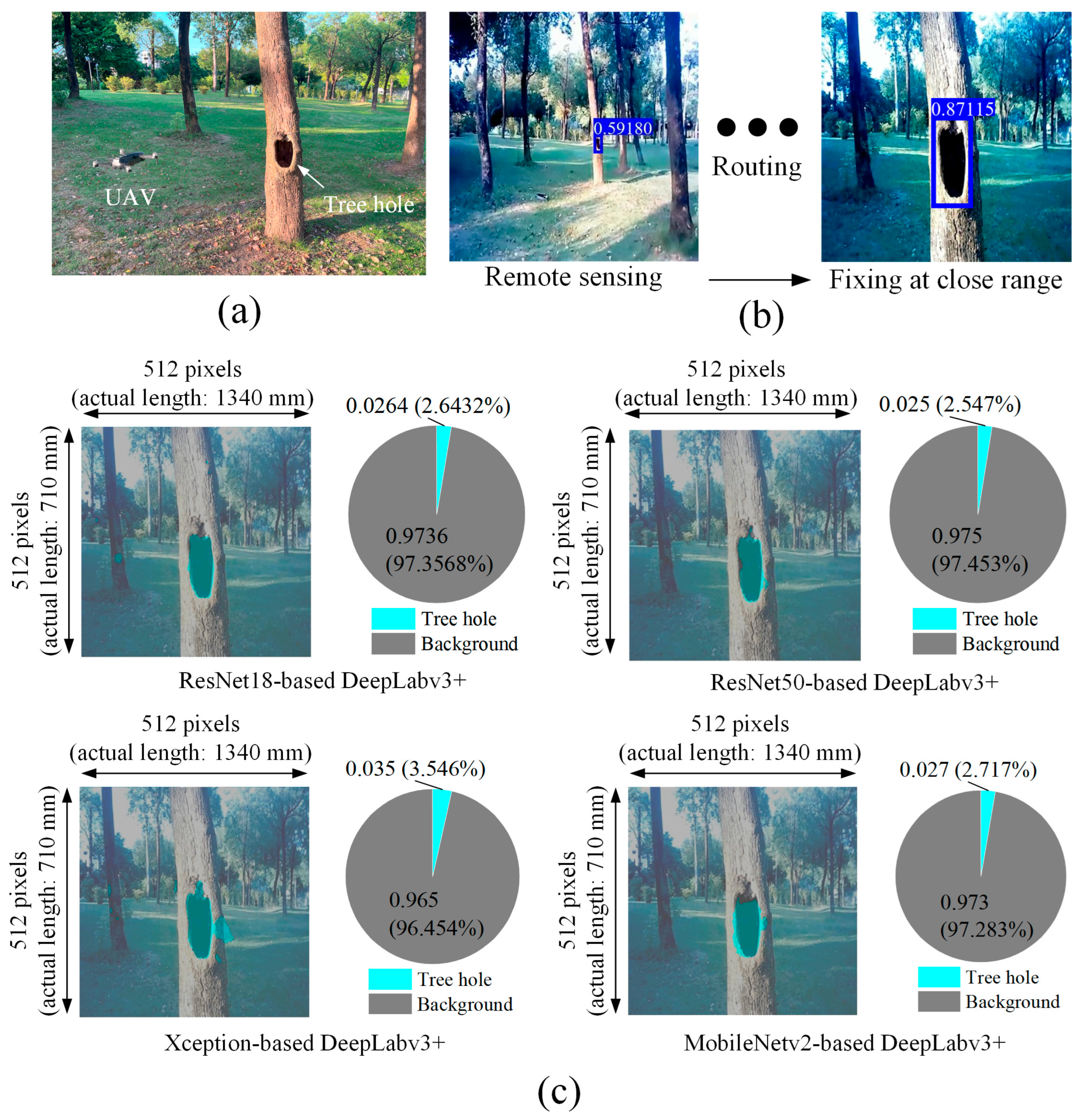 Forests 15 01374 g012