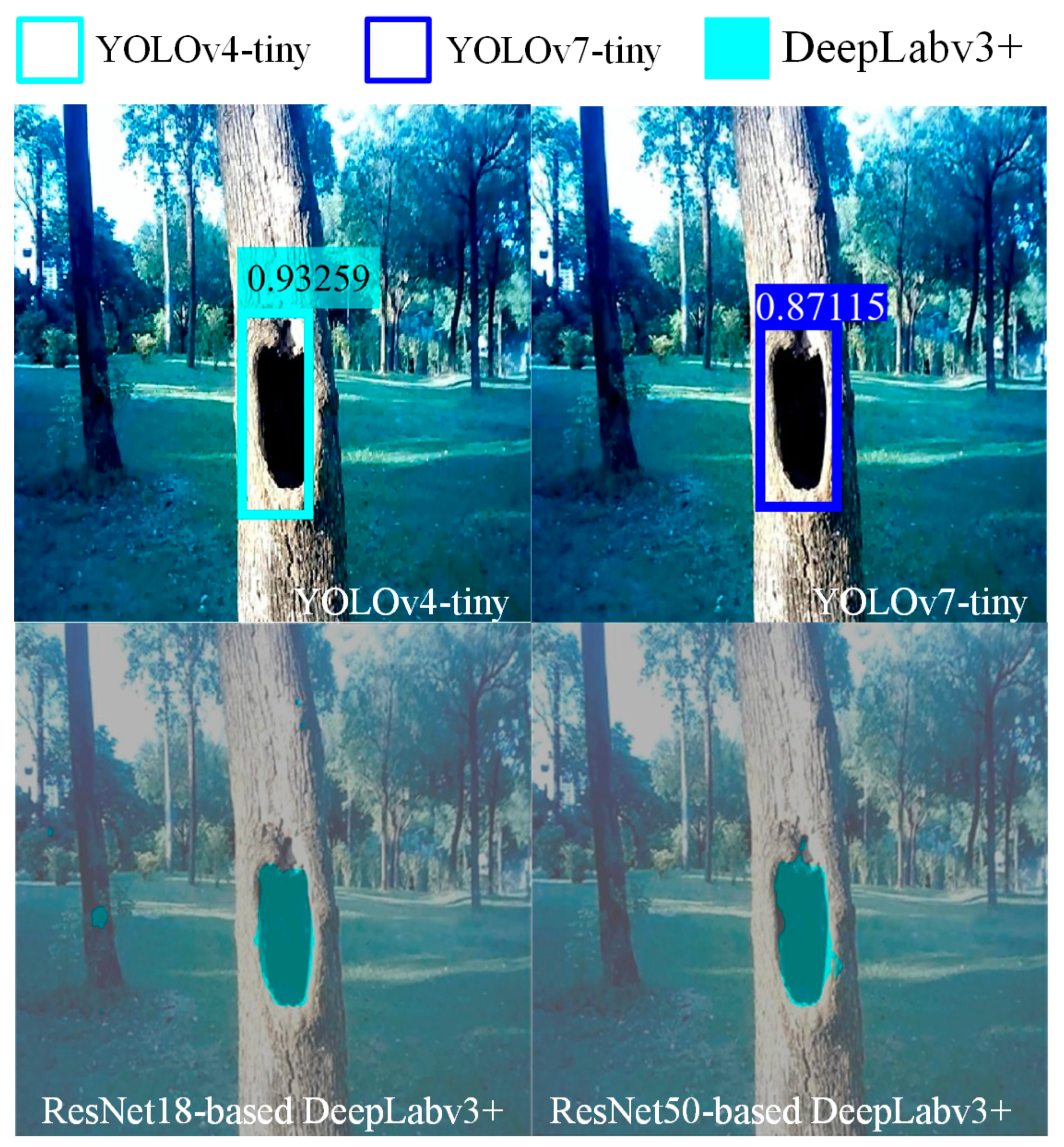 Forests 15 01374 g013