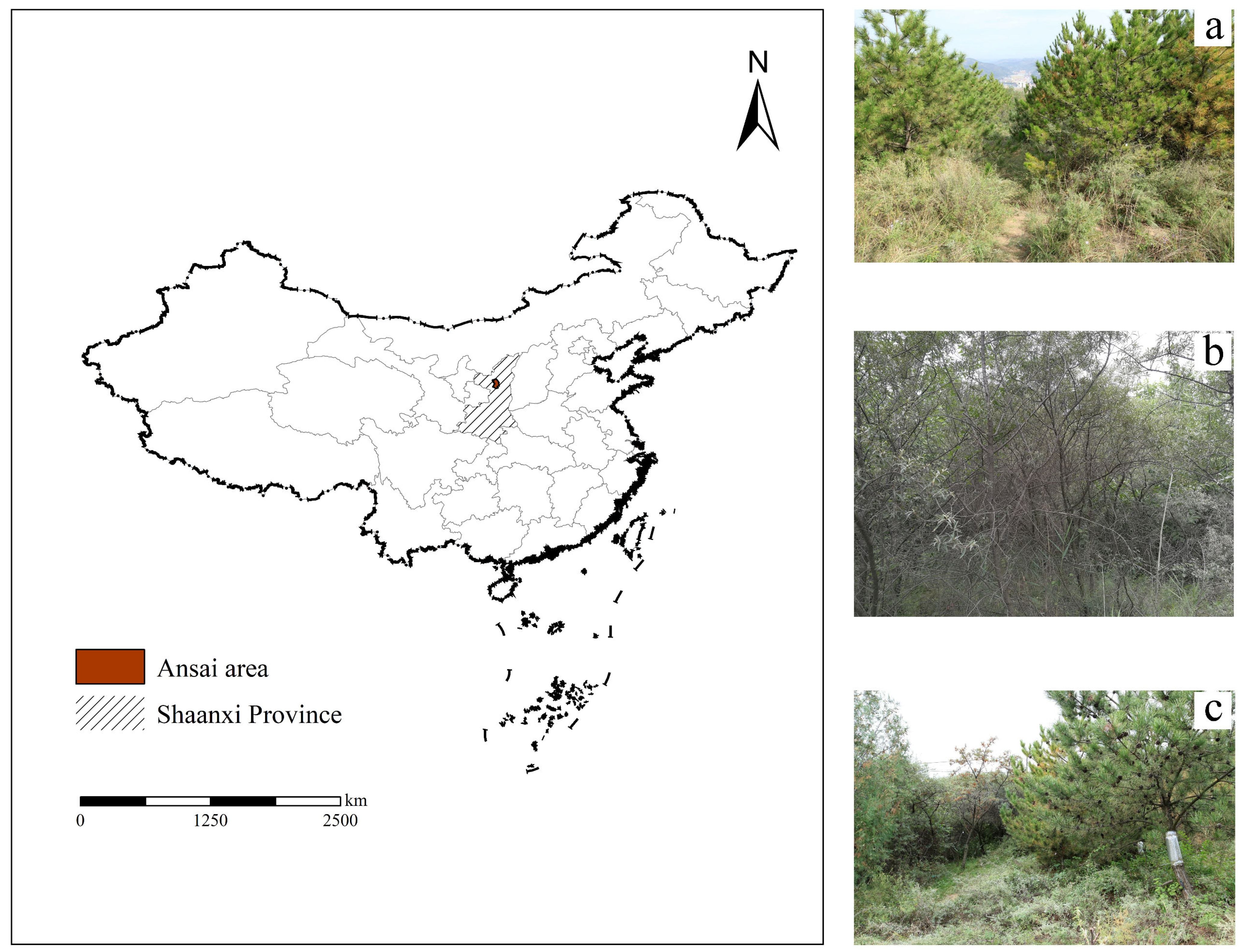 Forests 15 01382 g001