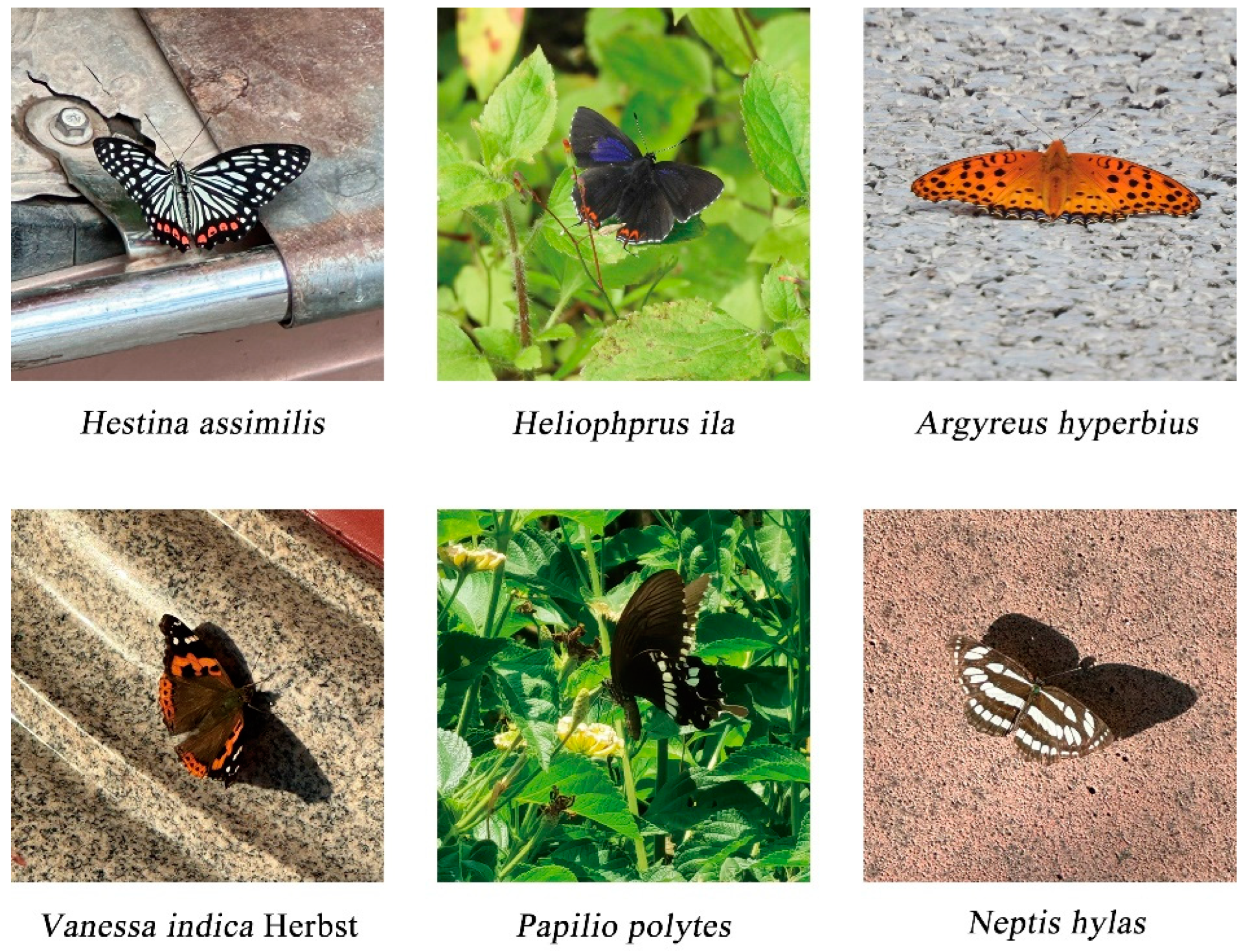 Forests 15 01390 g004