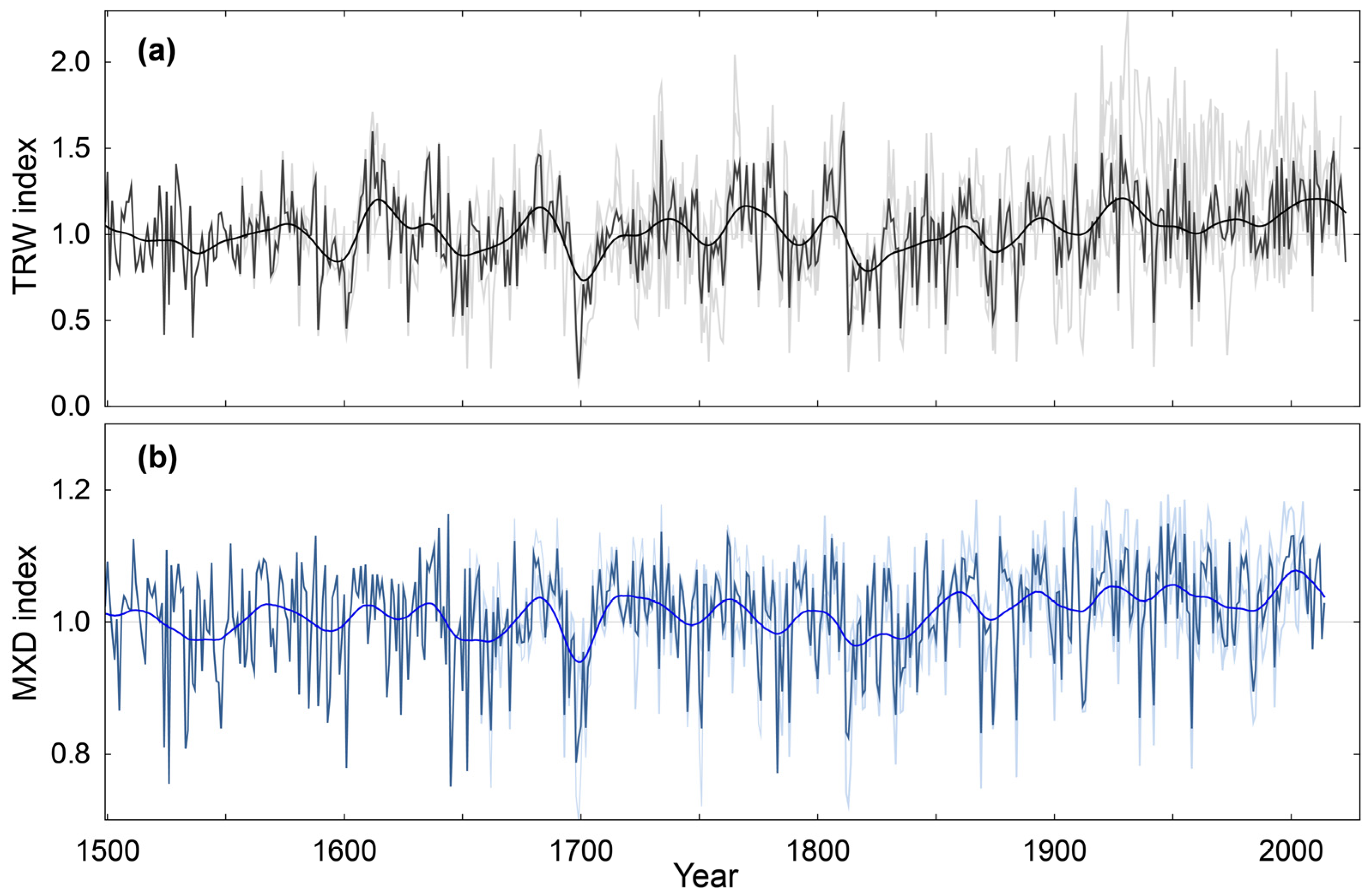 Forests 15 01402 g003 Forests 15 01402 g003