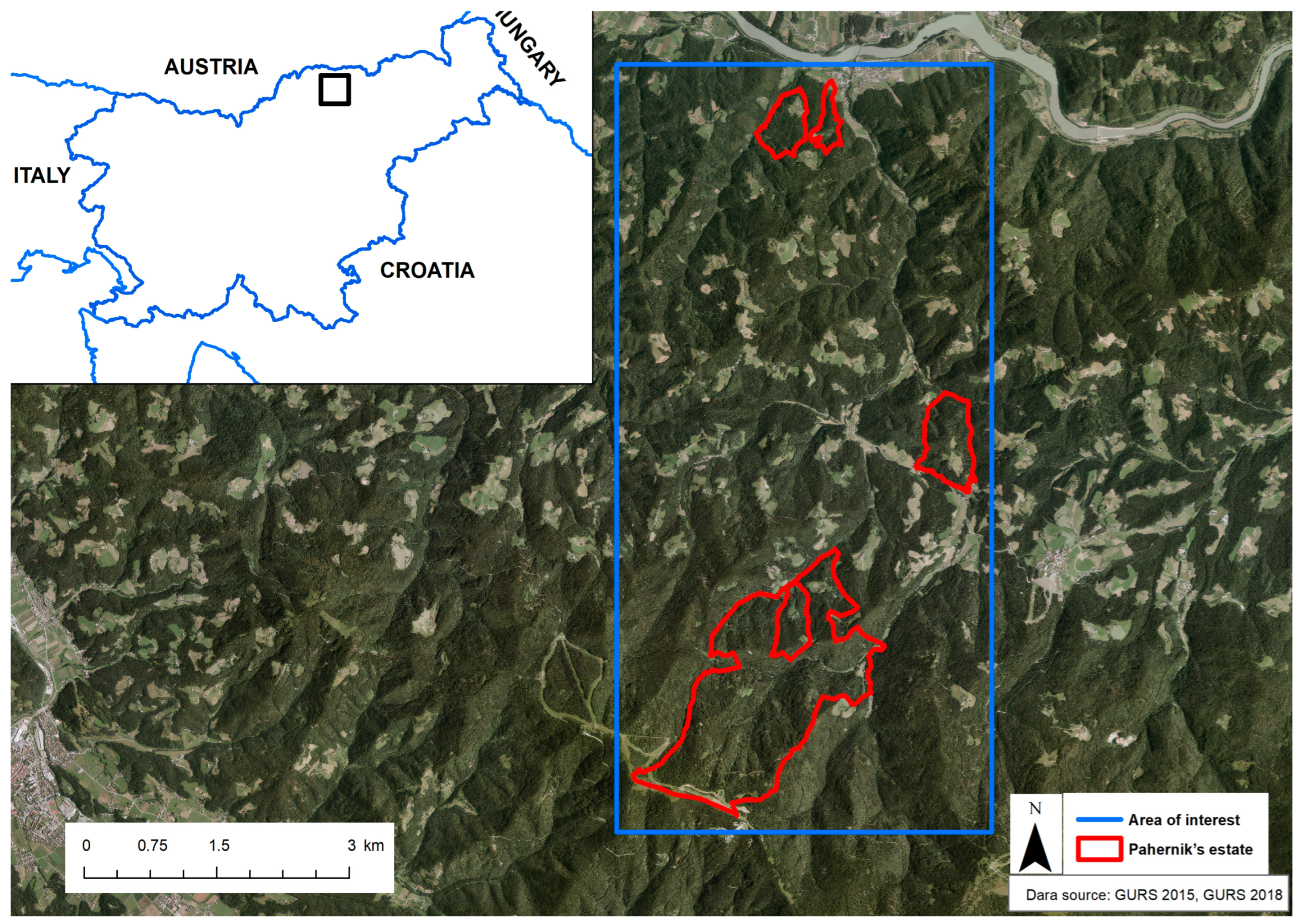 Forests 15 01407 g001 Forests 15 01407 g001