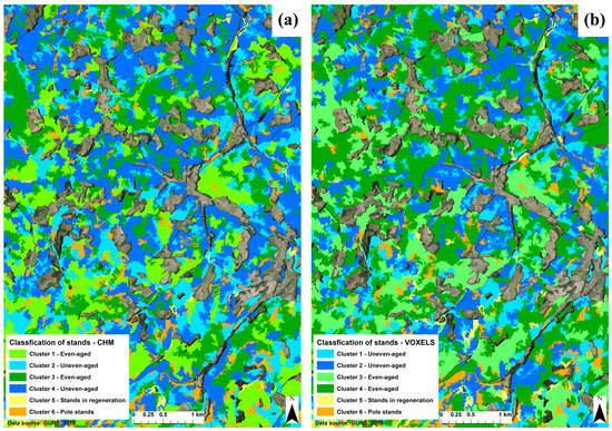 Forests 15 01407 g008