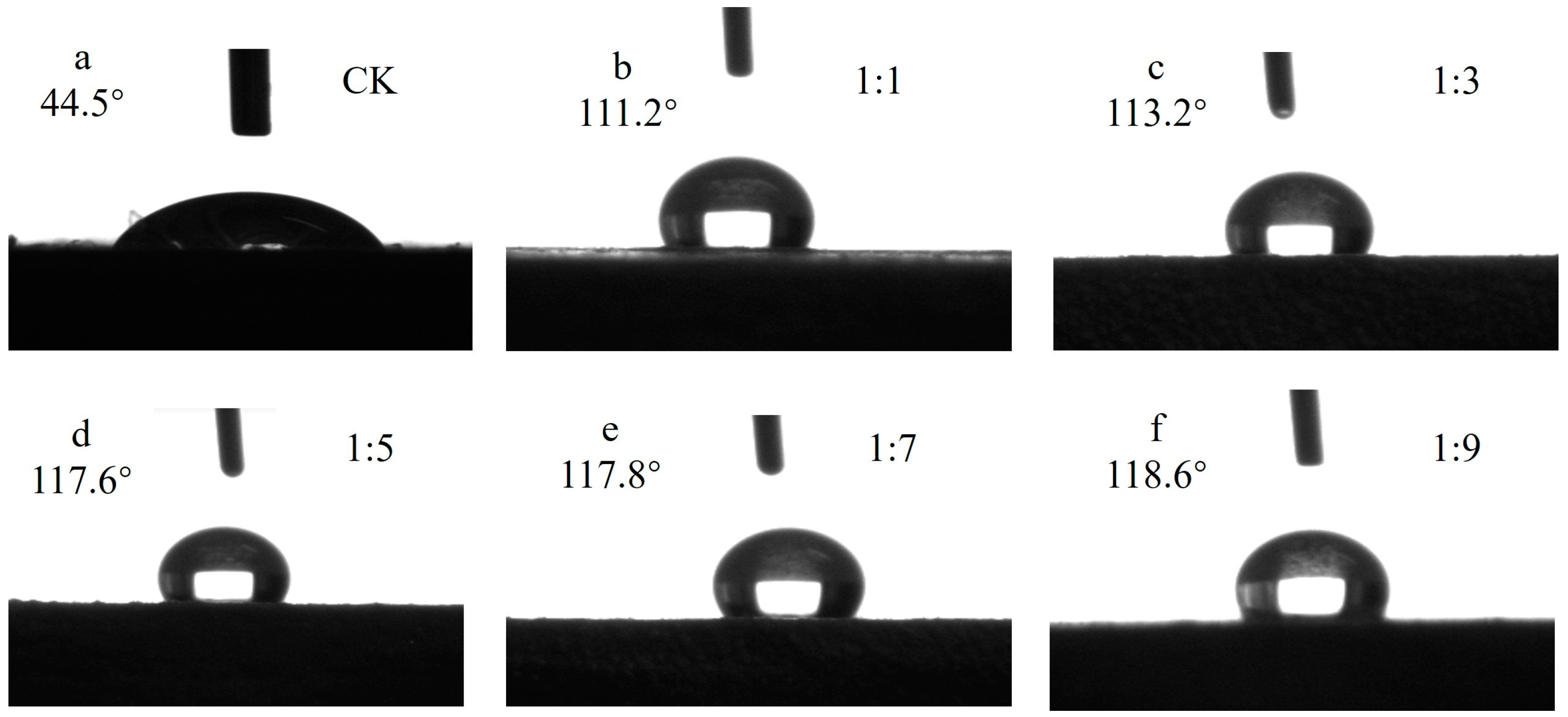 Forests 15 01410 g004