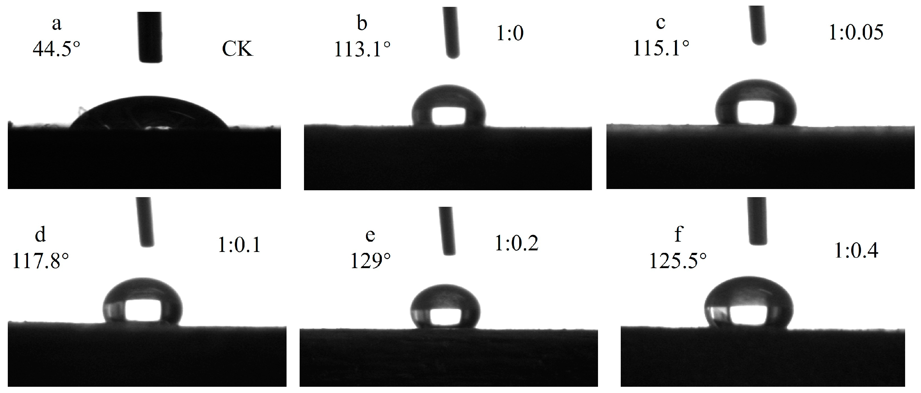 Forests 15 01410 g014