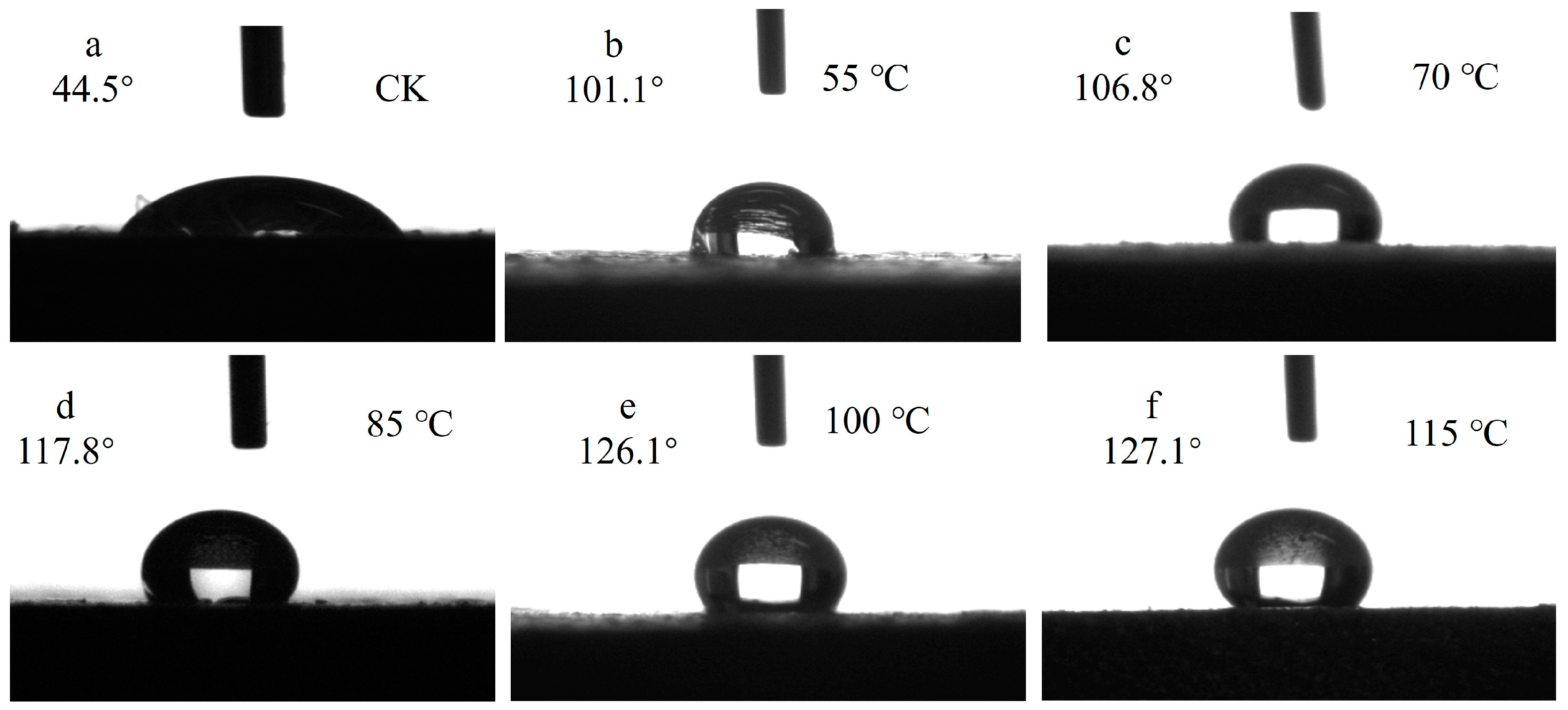 Forests 15 01410 g019