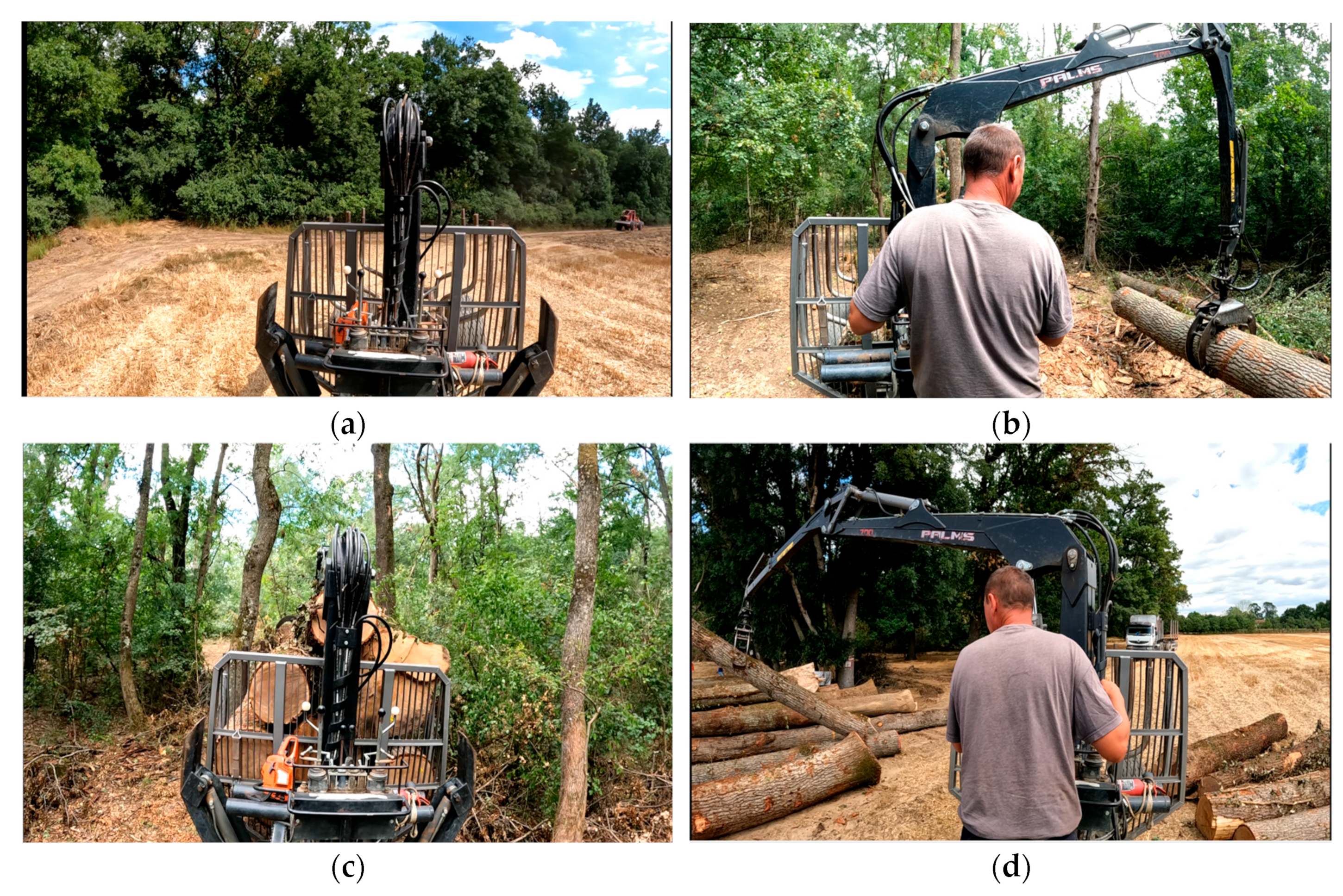 Forests 15 01422 g002