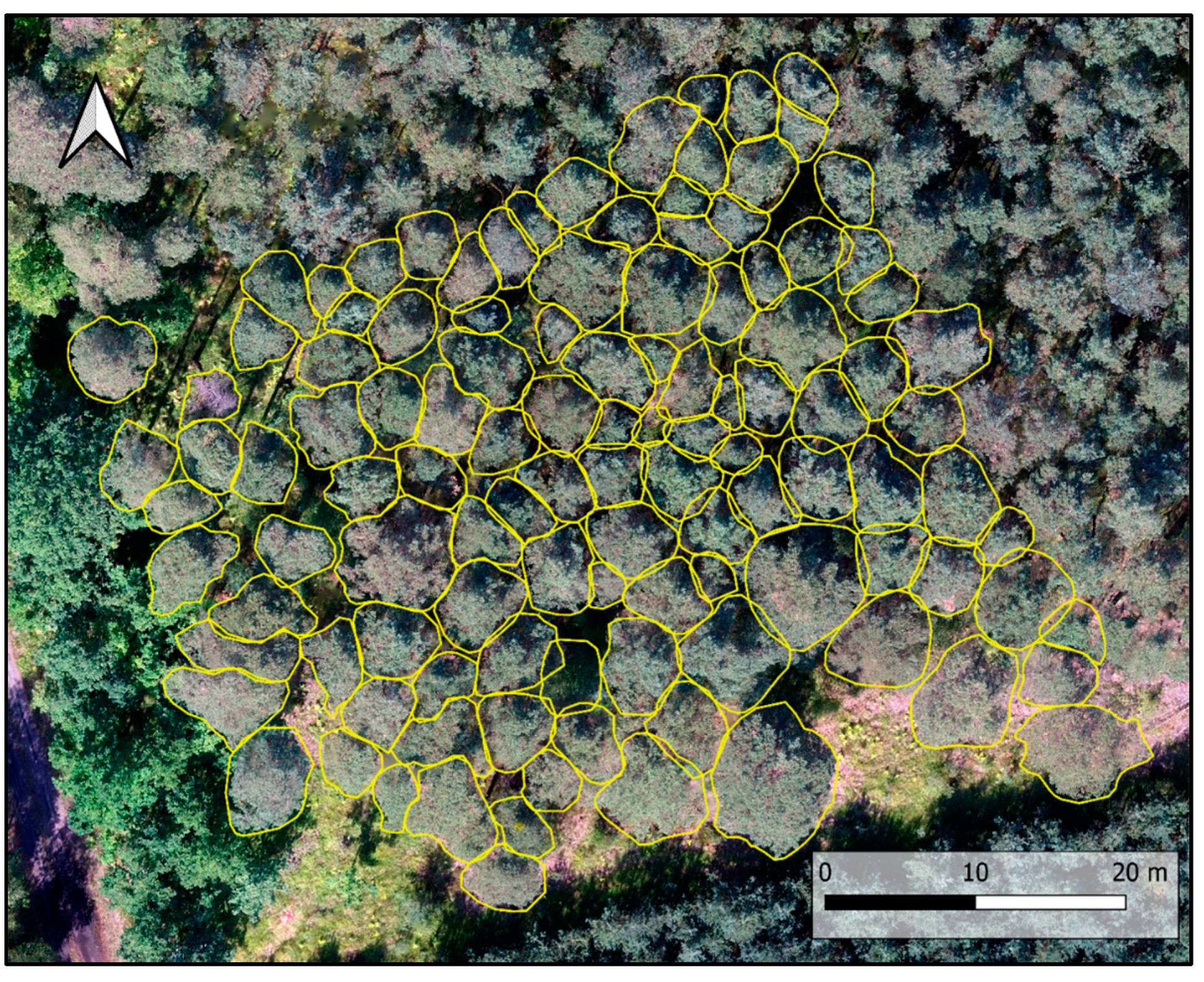 Forests 15 01462 g005 Forests 15 01462 g005