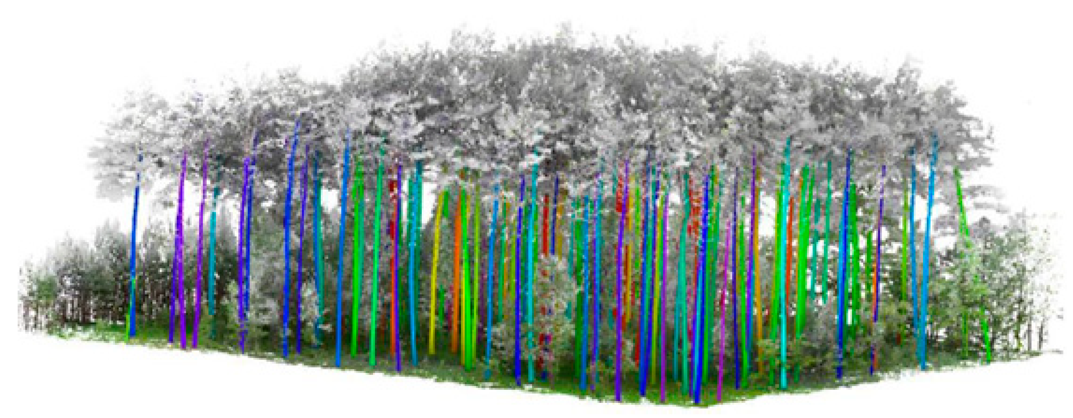 Forests 15 01462 g006 Forests 15 01462 g006