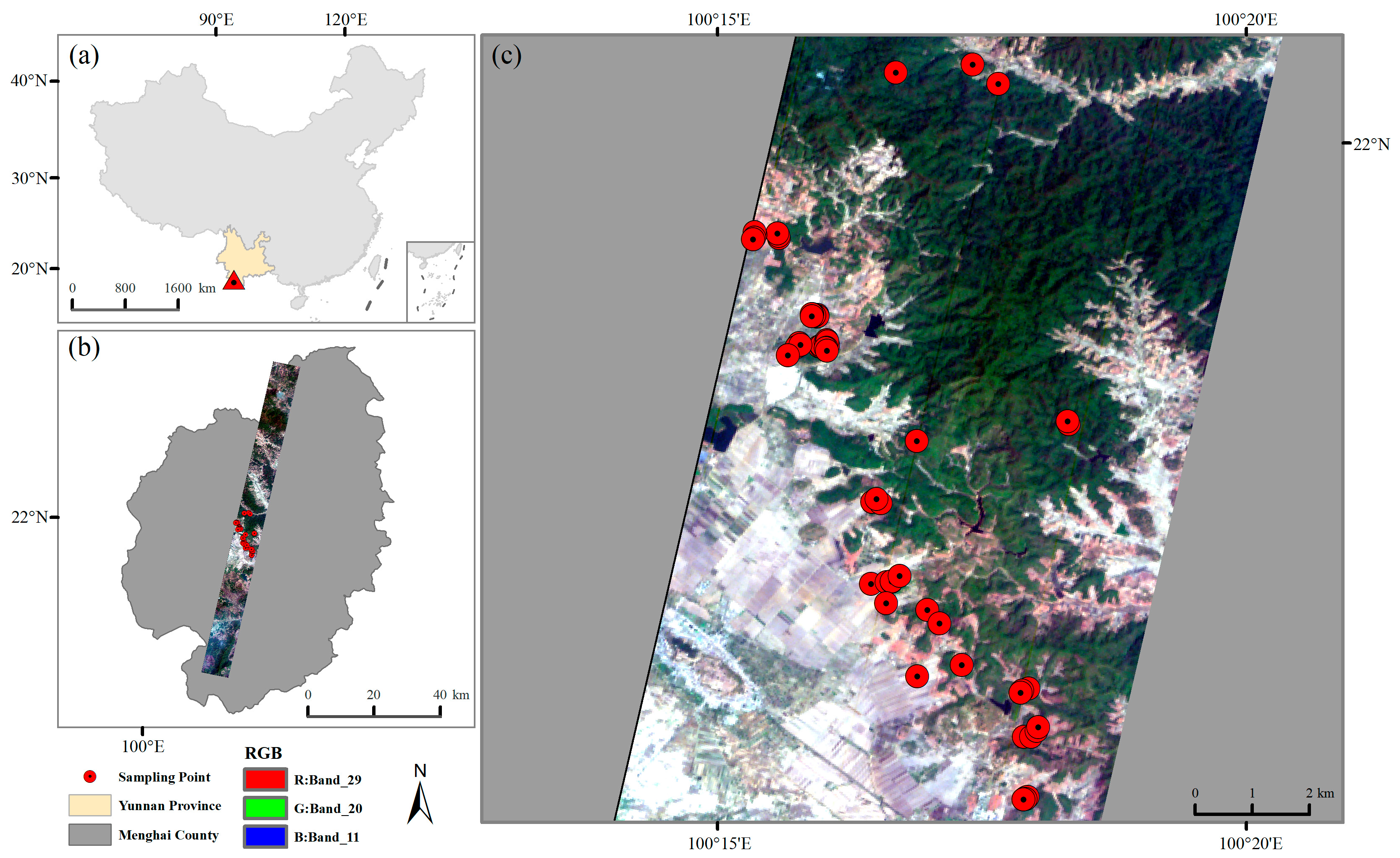 Forests 15 01463 g001