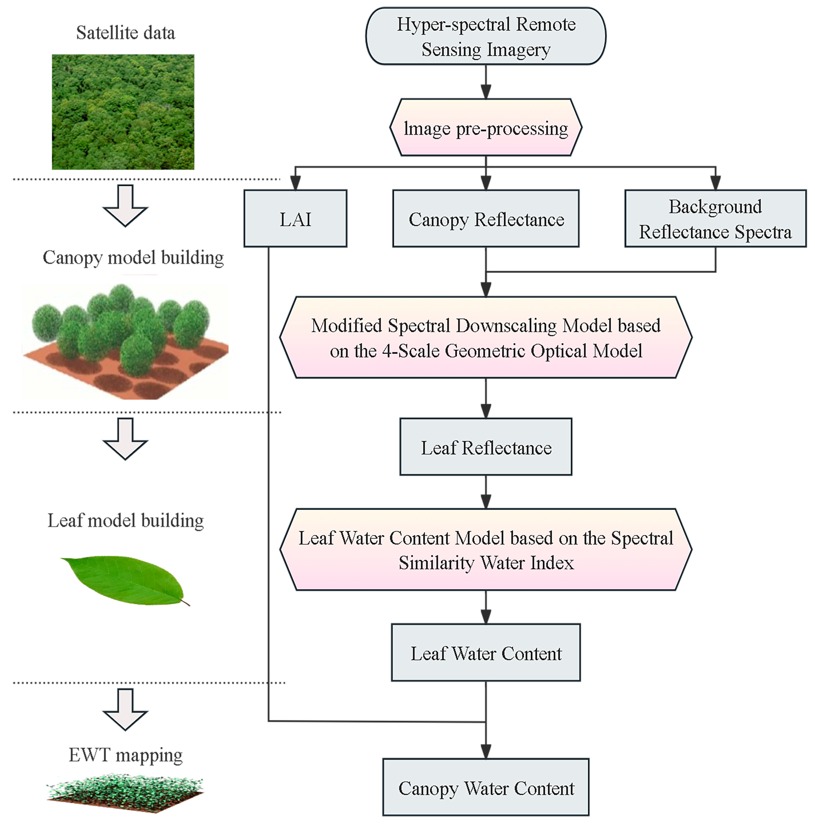 Forests 15 01463 g002