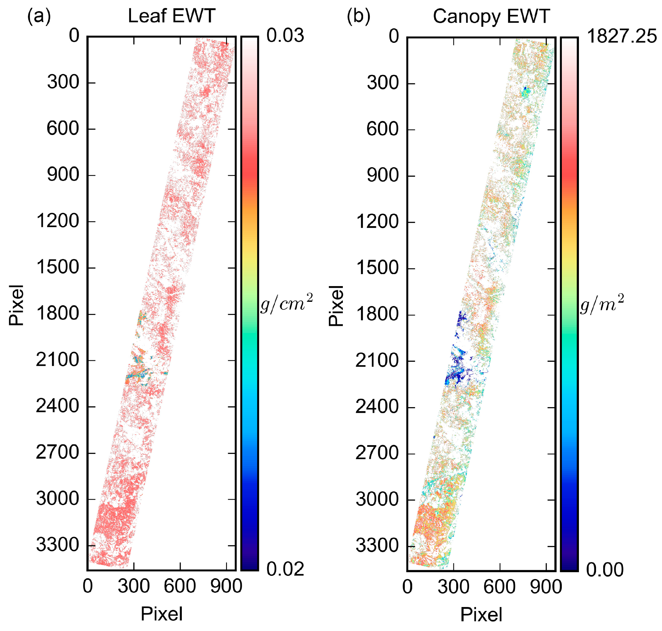 Forests 15 01463 g007