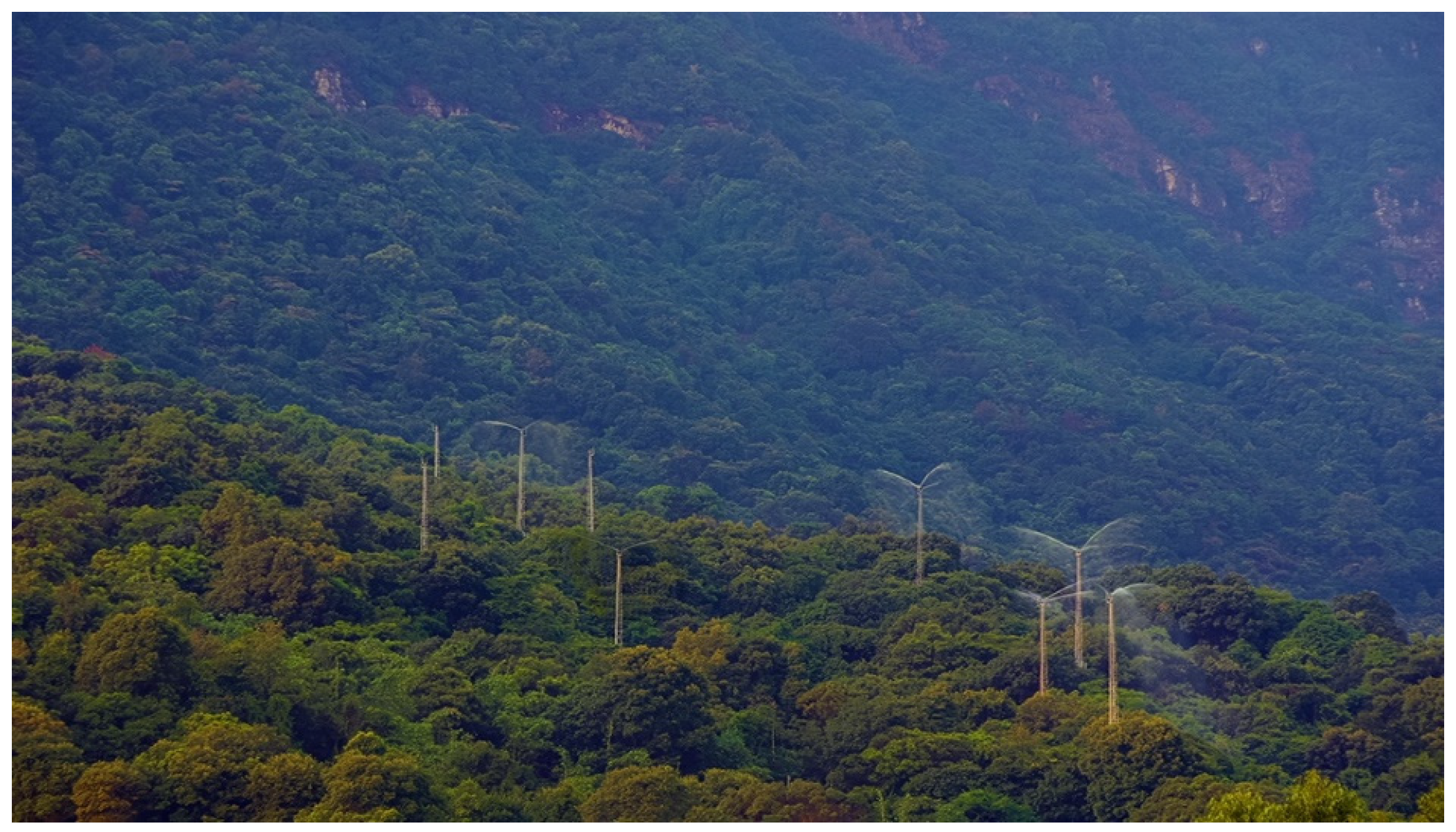 Forests 15 01464 g002 Forests 15 01464 g002