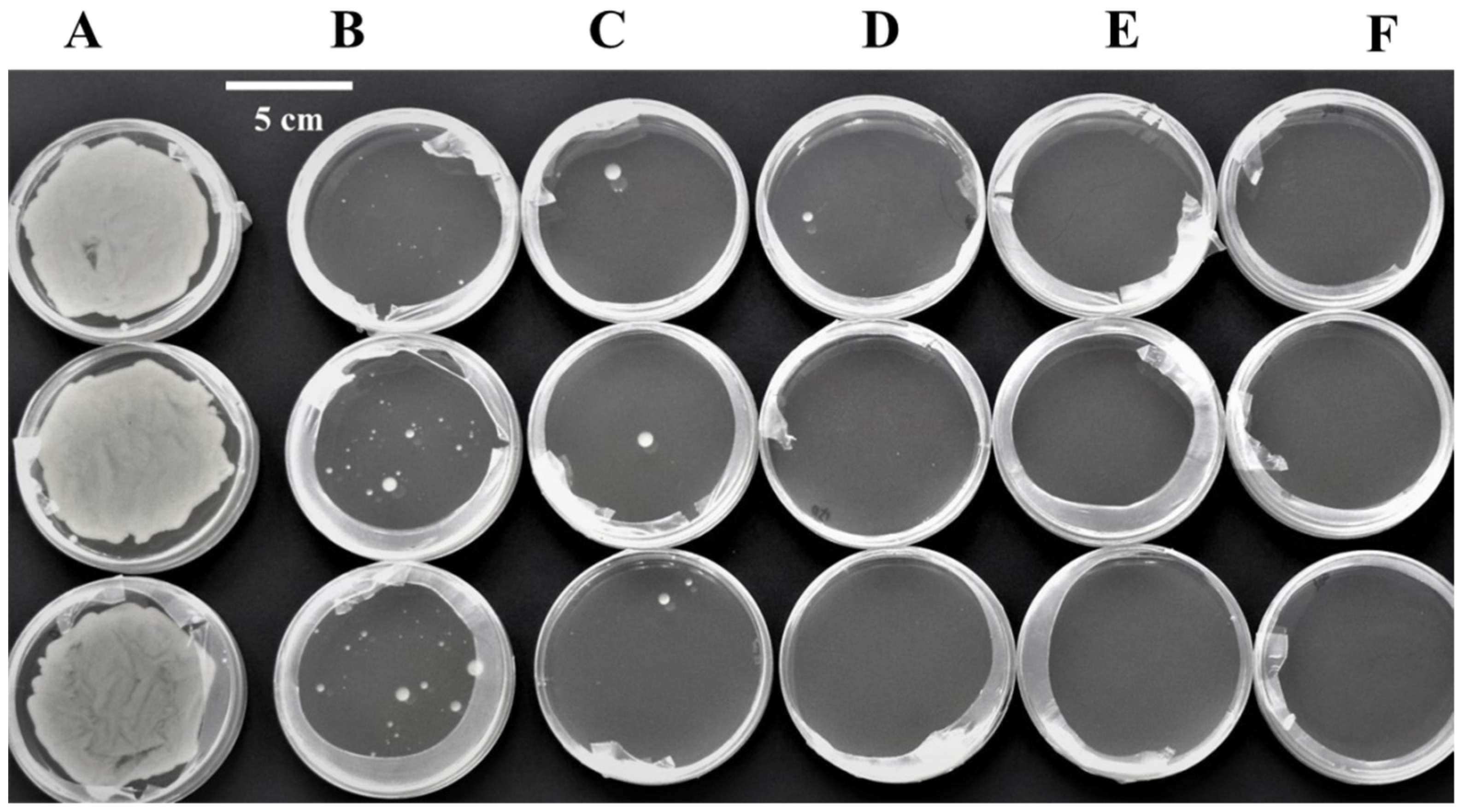 Forests 15 01474 g004