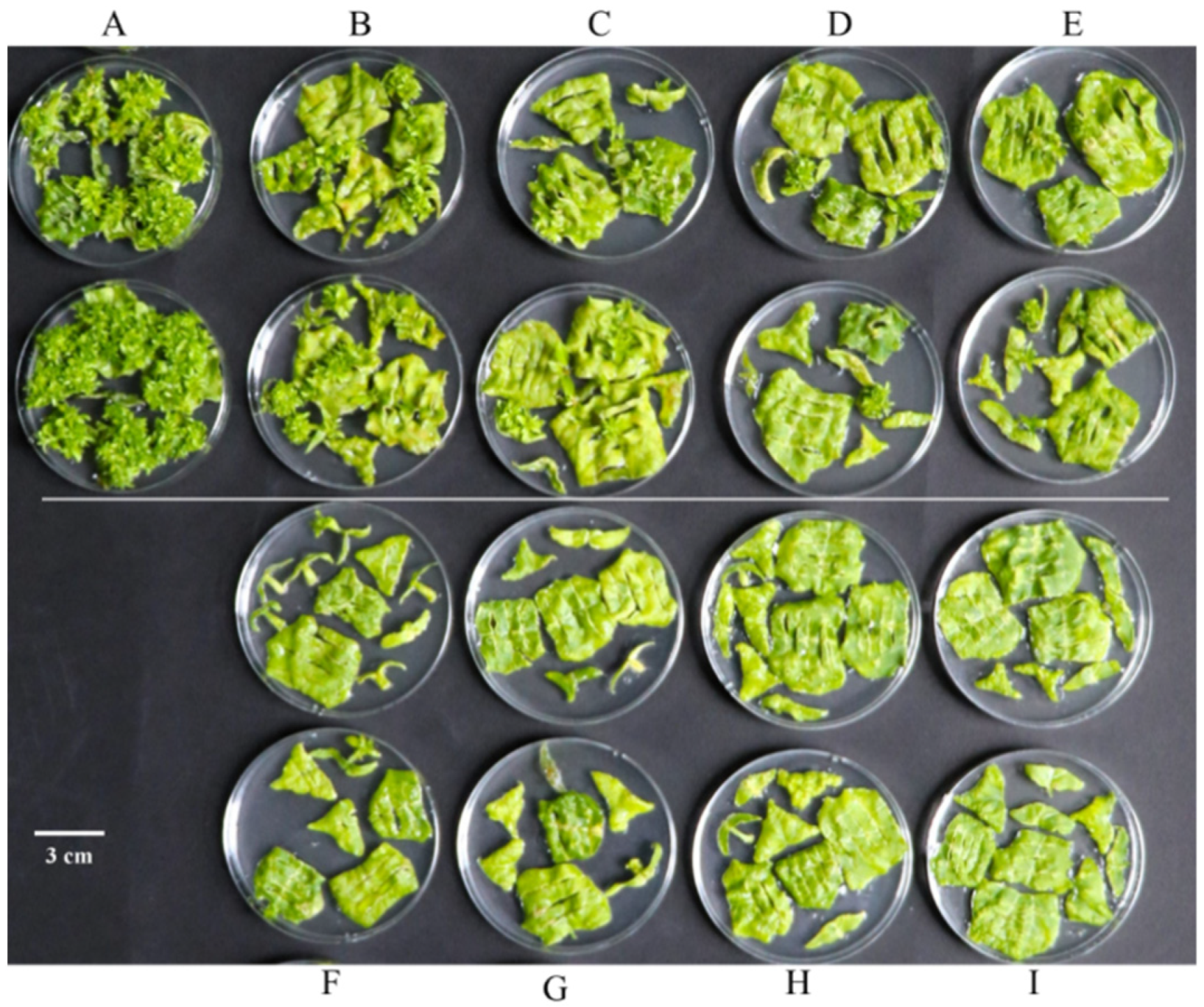 Forests 15 01474 g007