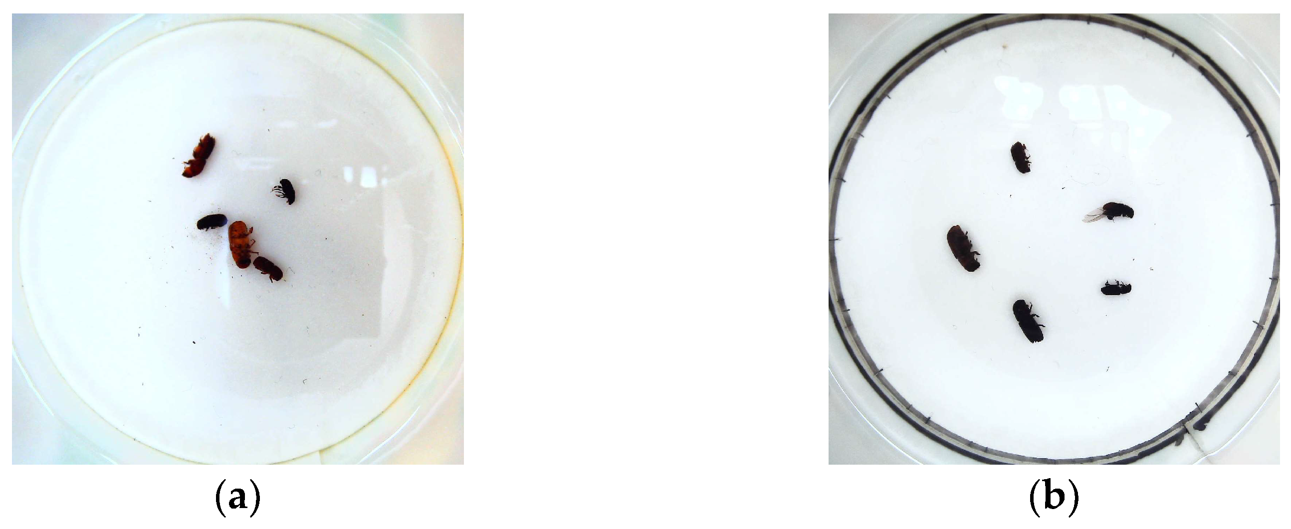 Forests 15 01486 g001