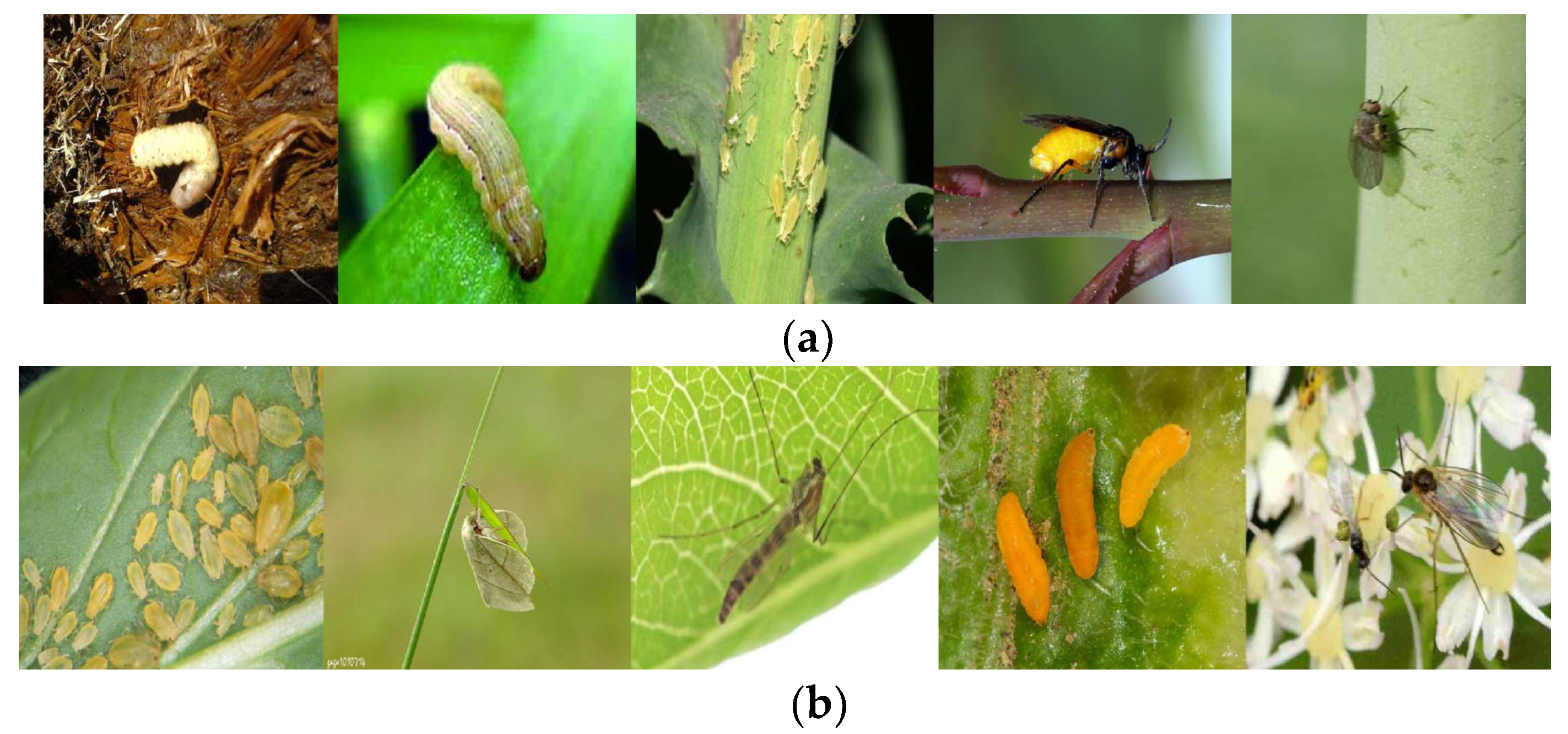 Forests 15 01486 g002