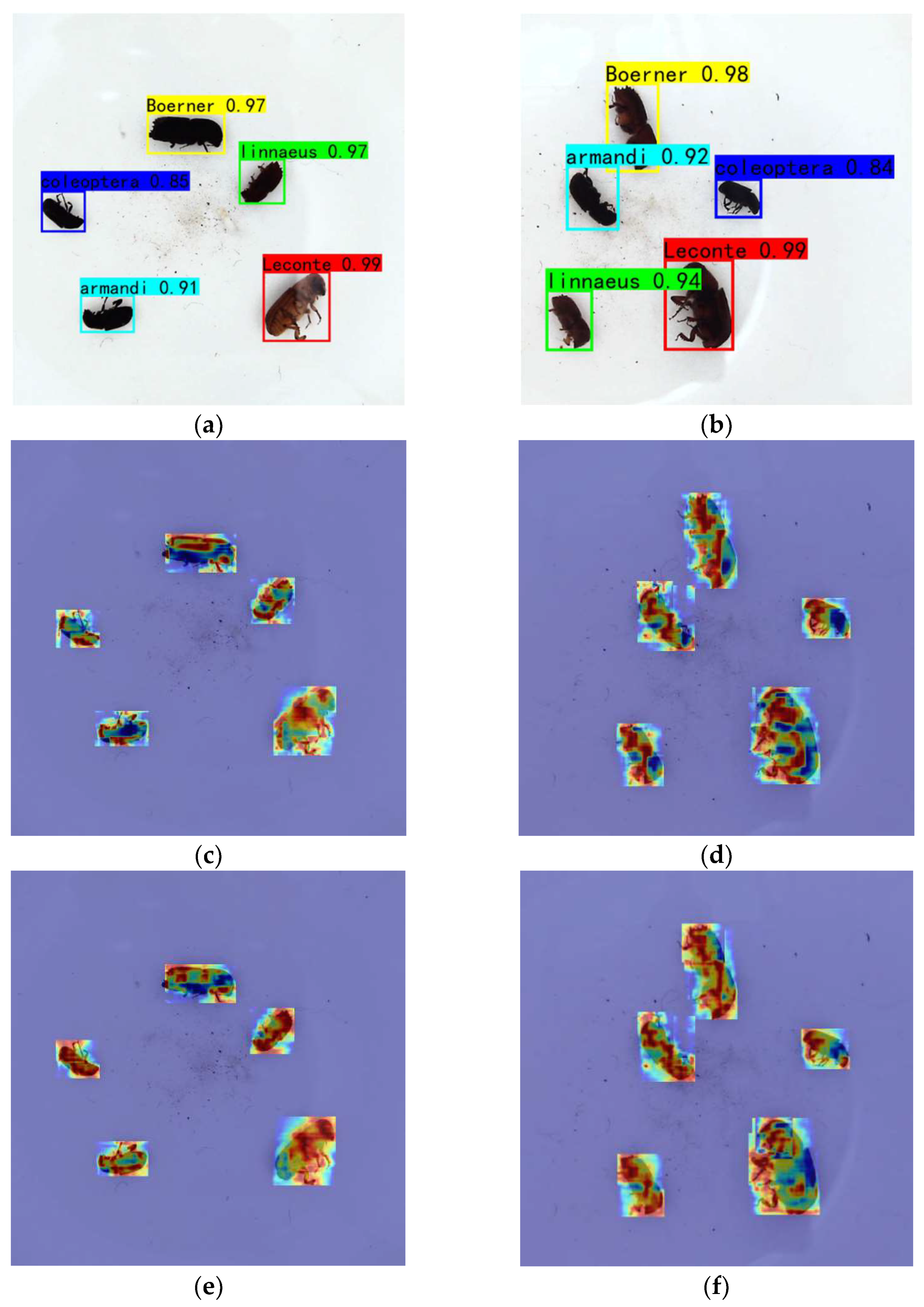 Forests 15 01486 g014