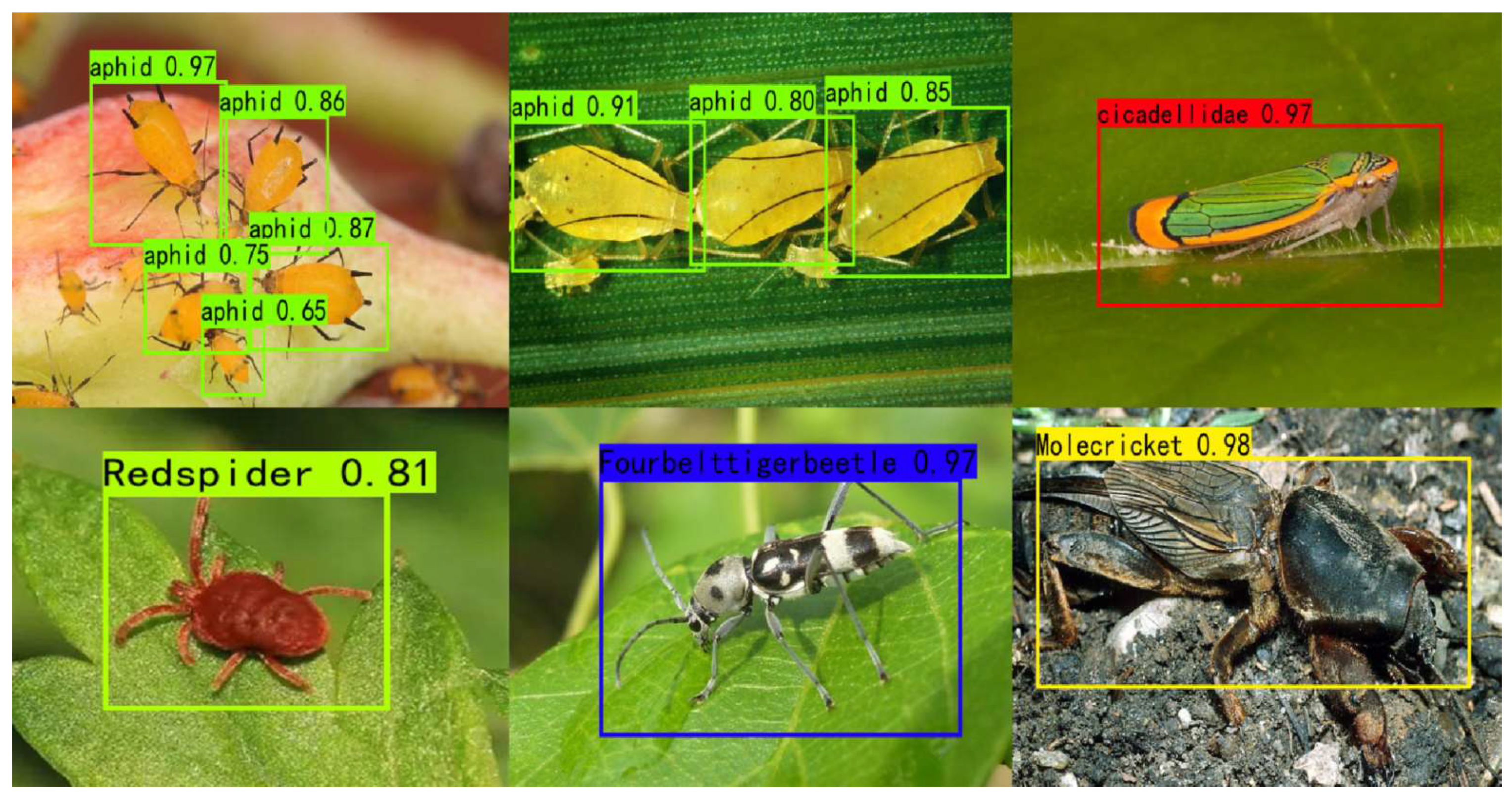 Forests 15 01486 g017
