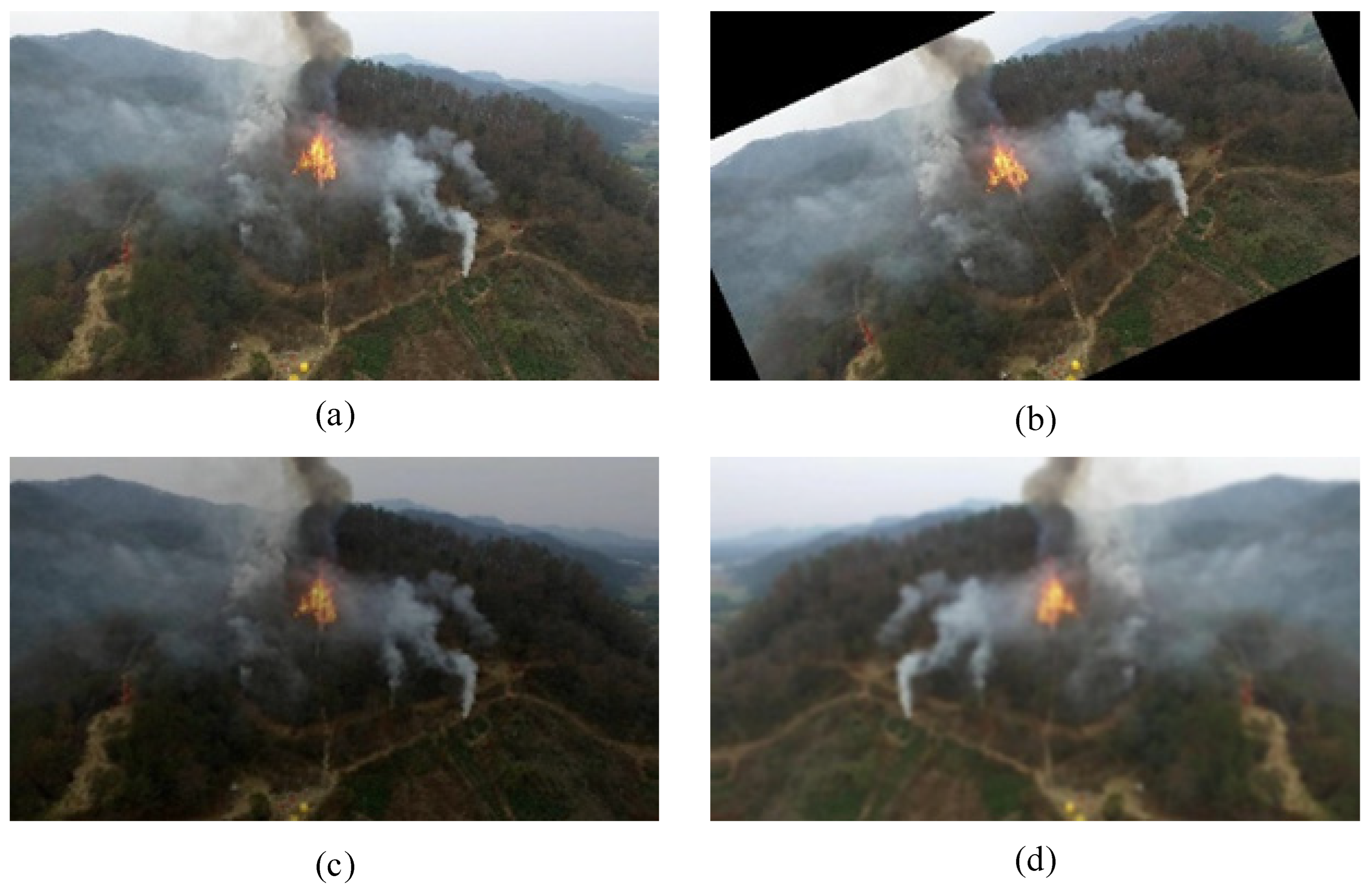 Forests 15 01489 g002