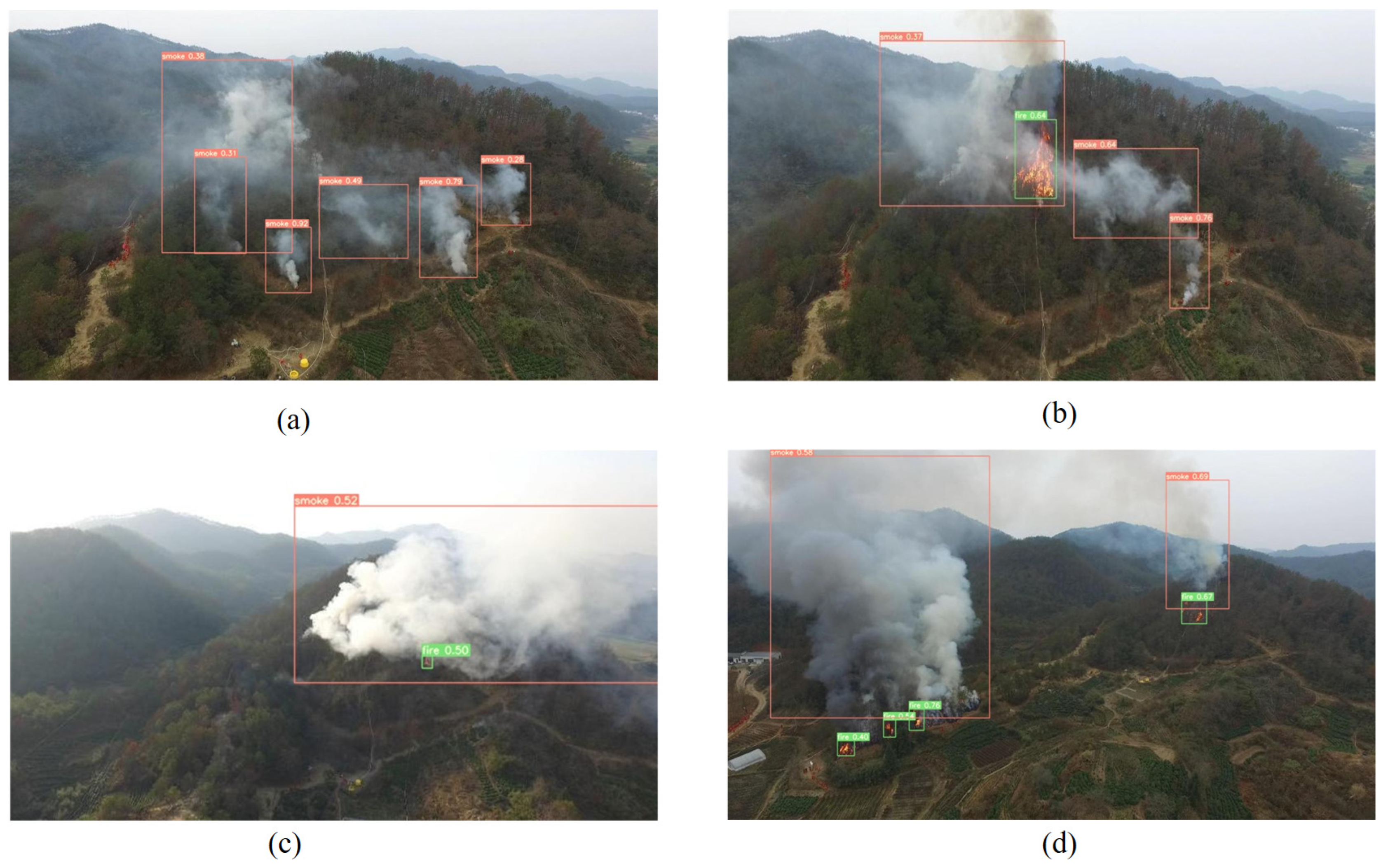 Forests 15 01489 g012