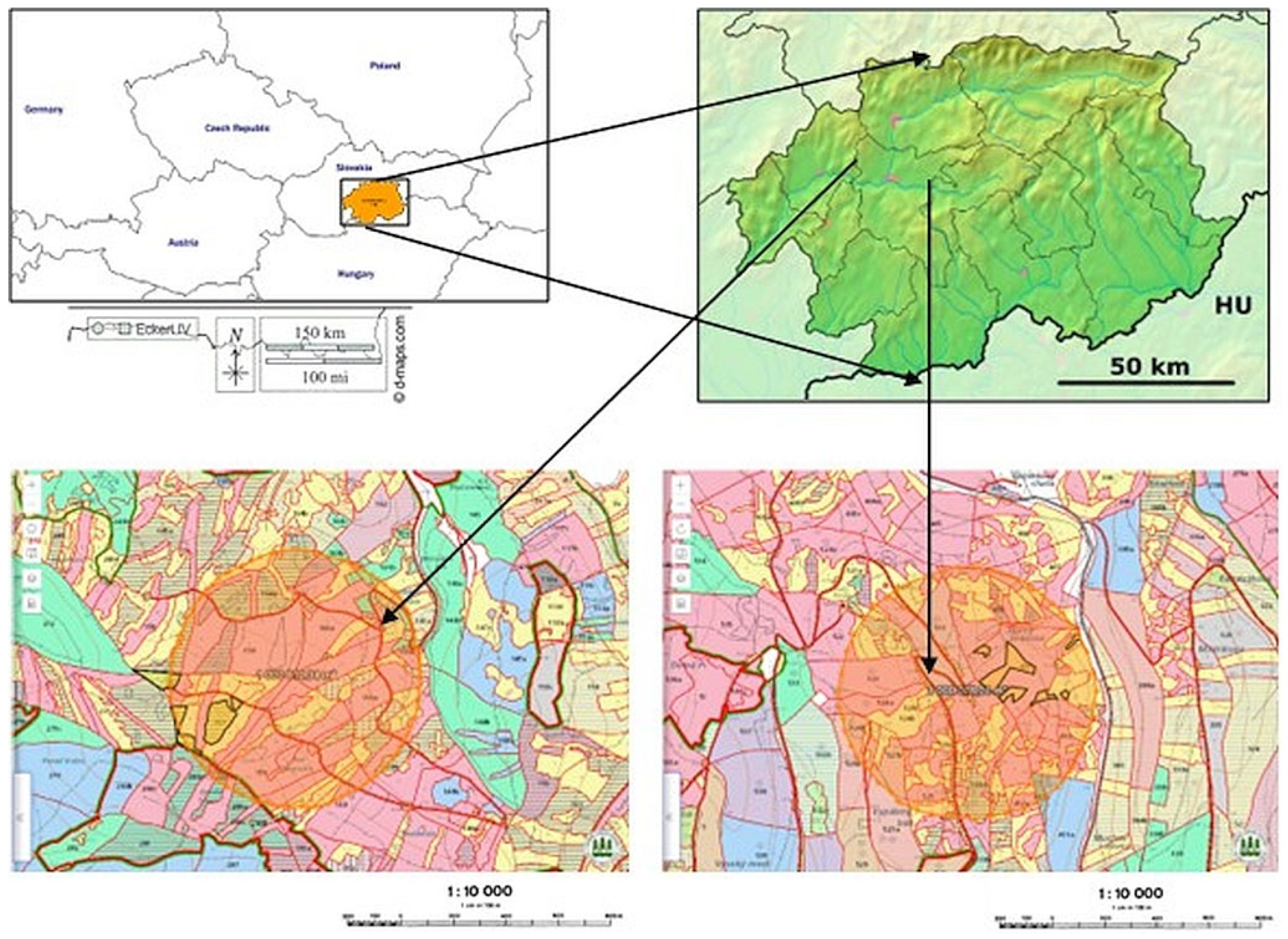 Forests 15 01499 g001
