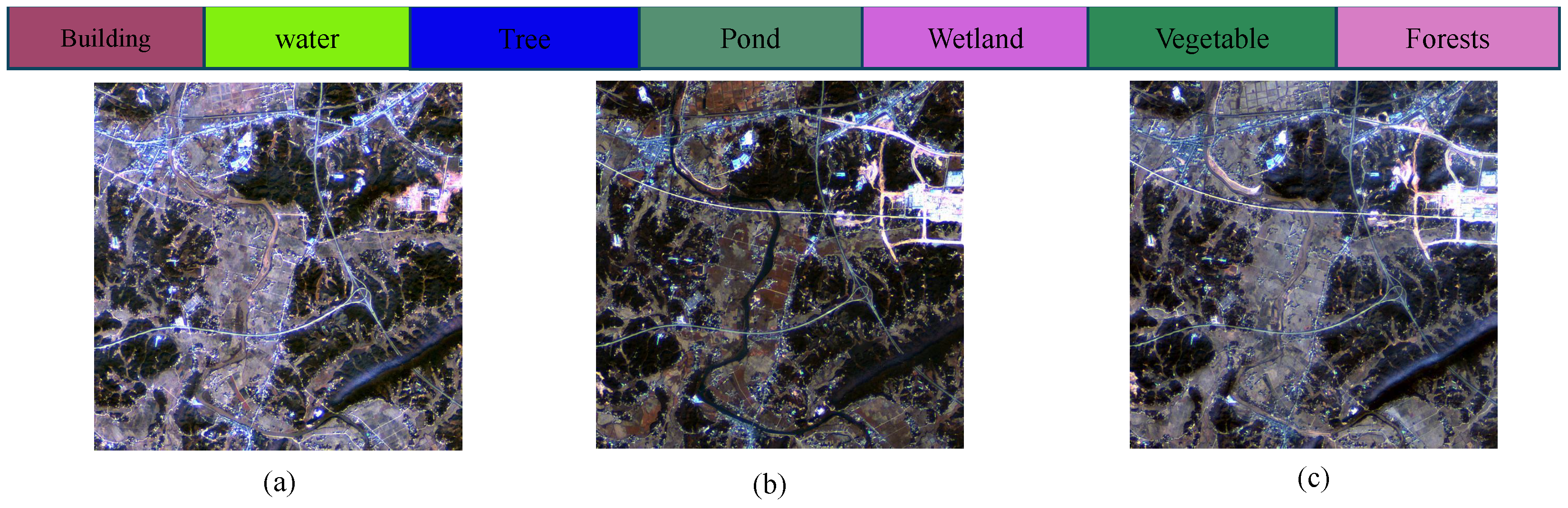 Forests 15 01504 g011