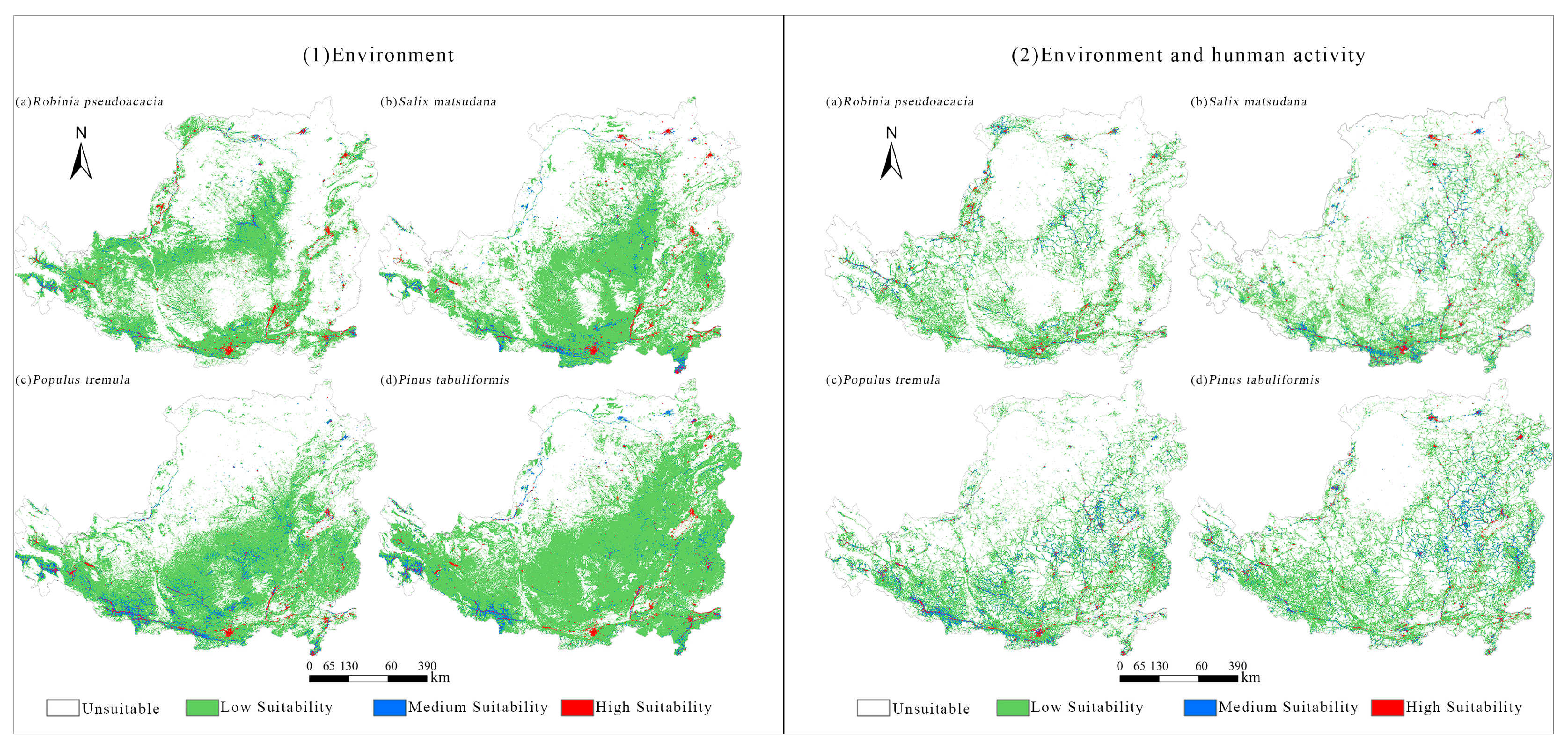 Forests 15 01528 g004