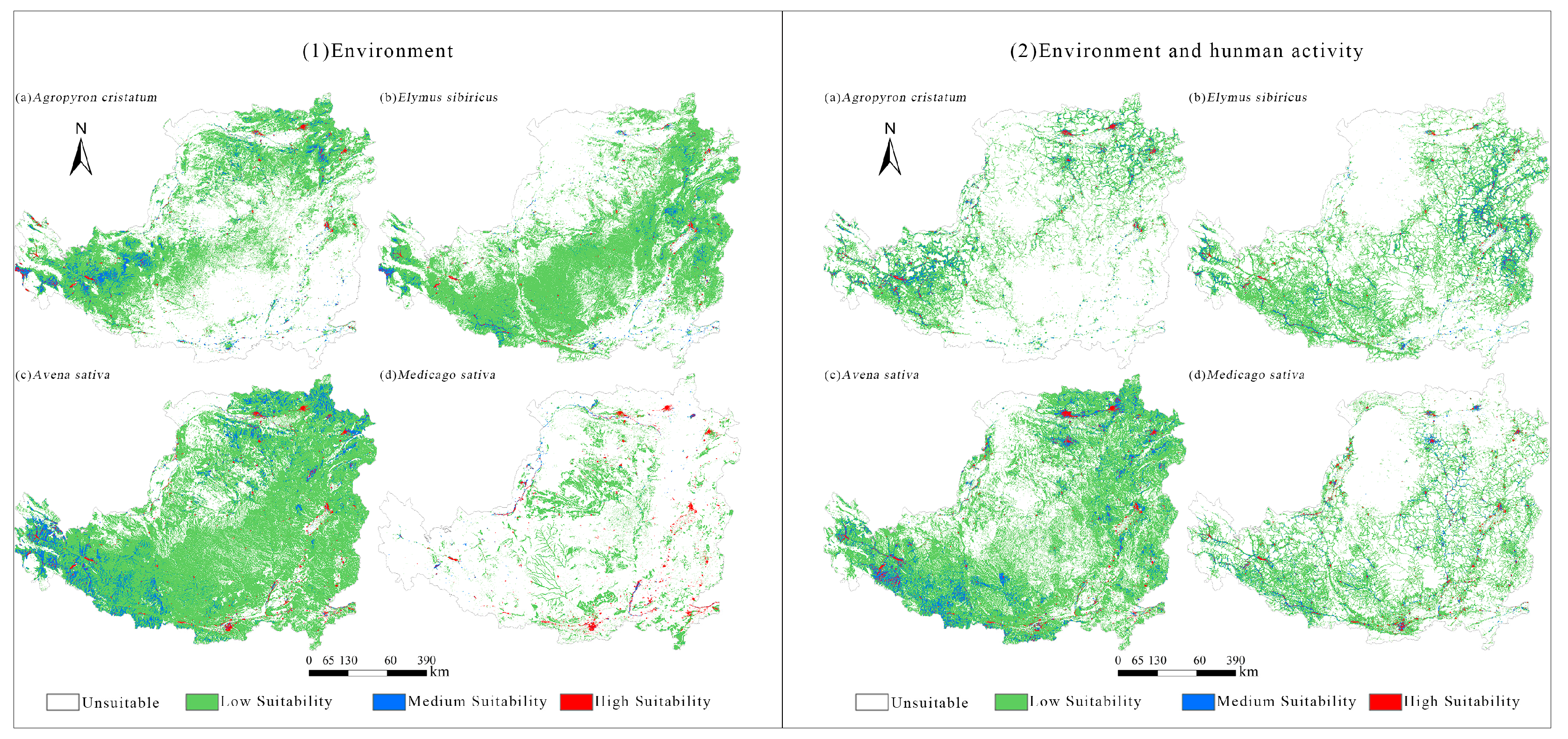 Forests 15 01528 g006