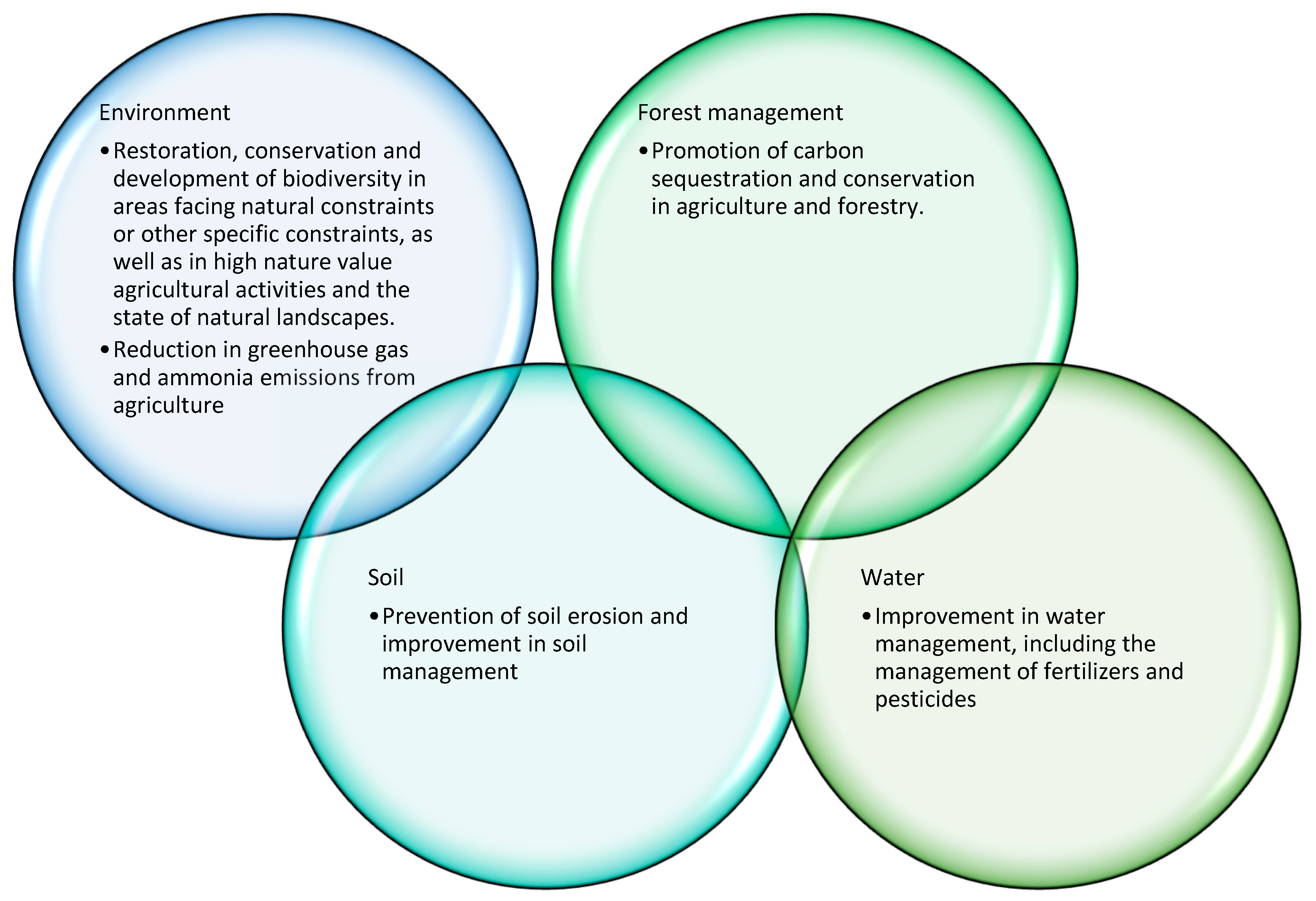Forests 15 01533 g003