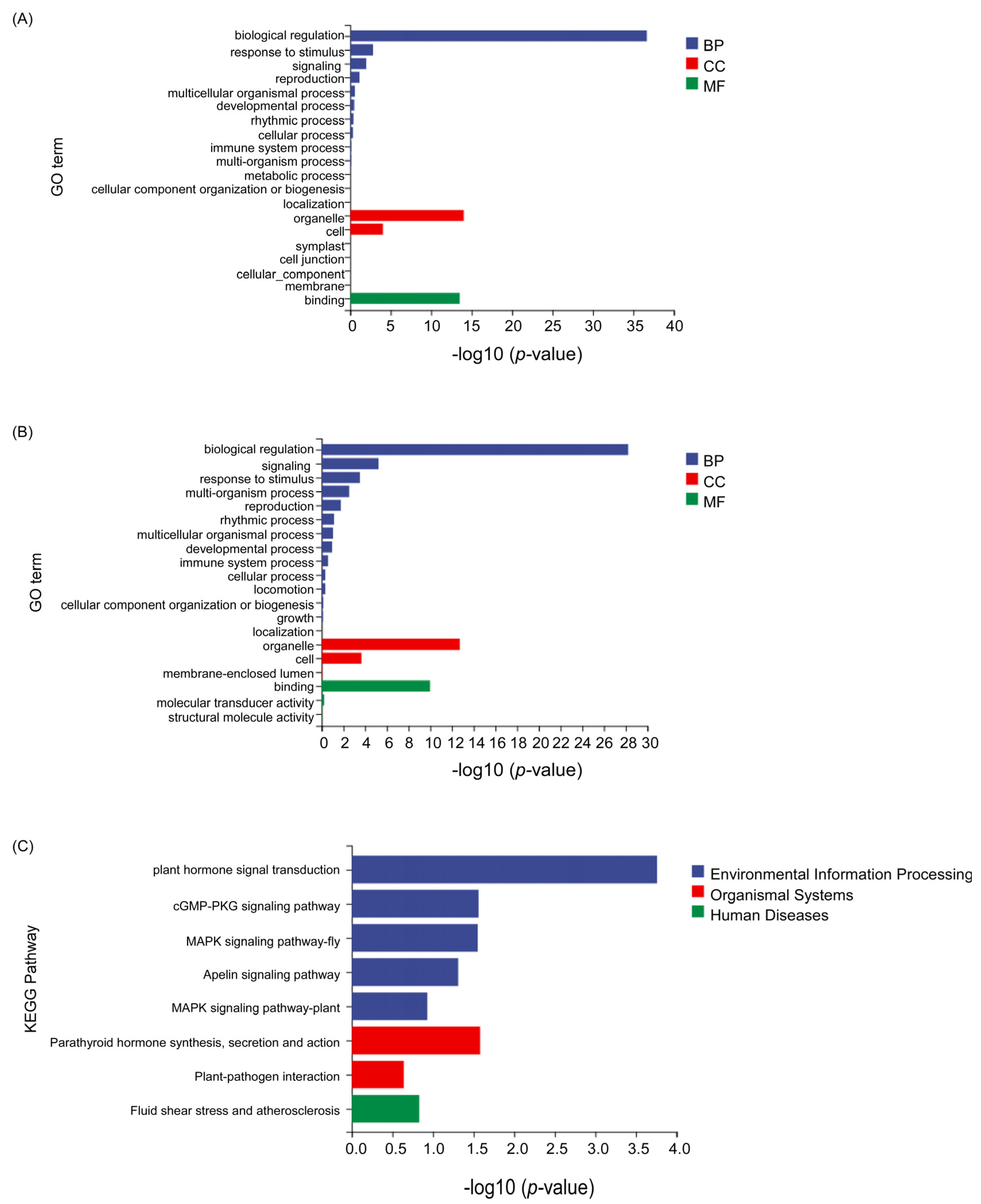 Forests 15 01538 g002