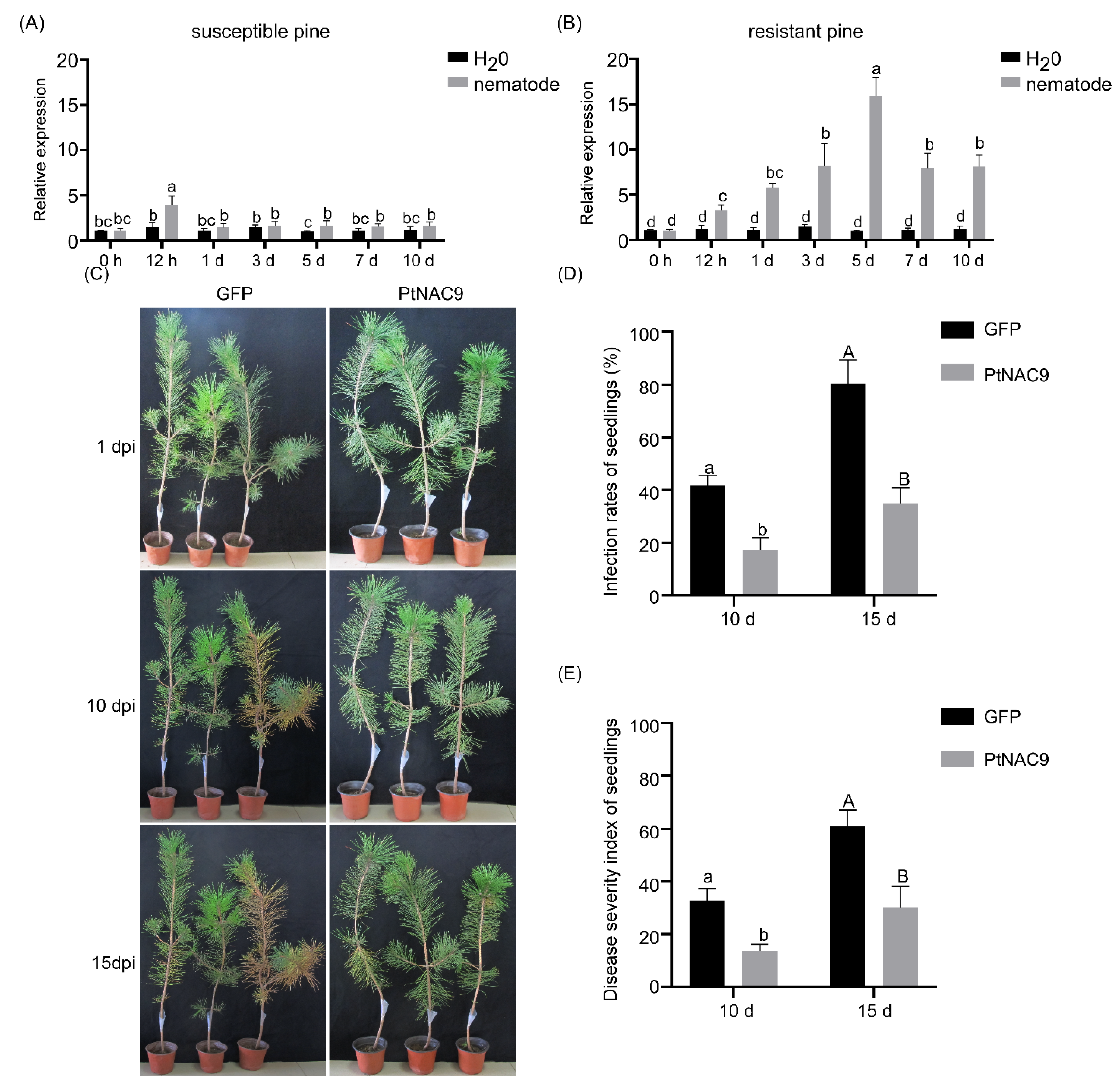 Forests 15 01538 g005
