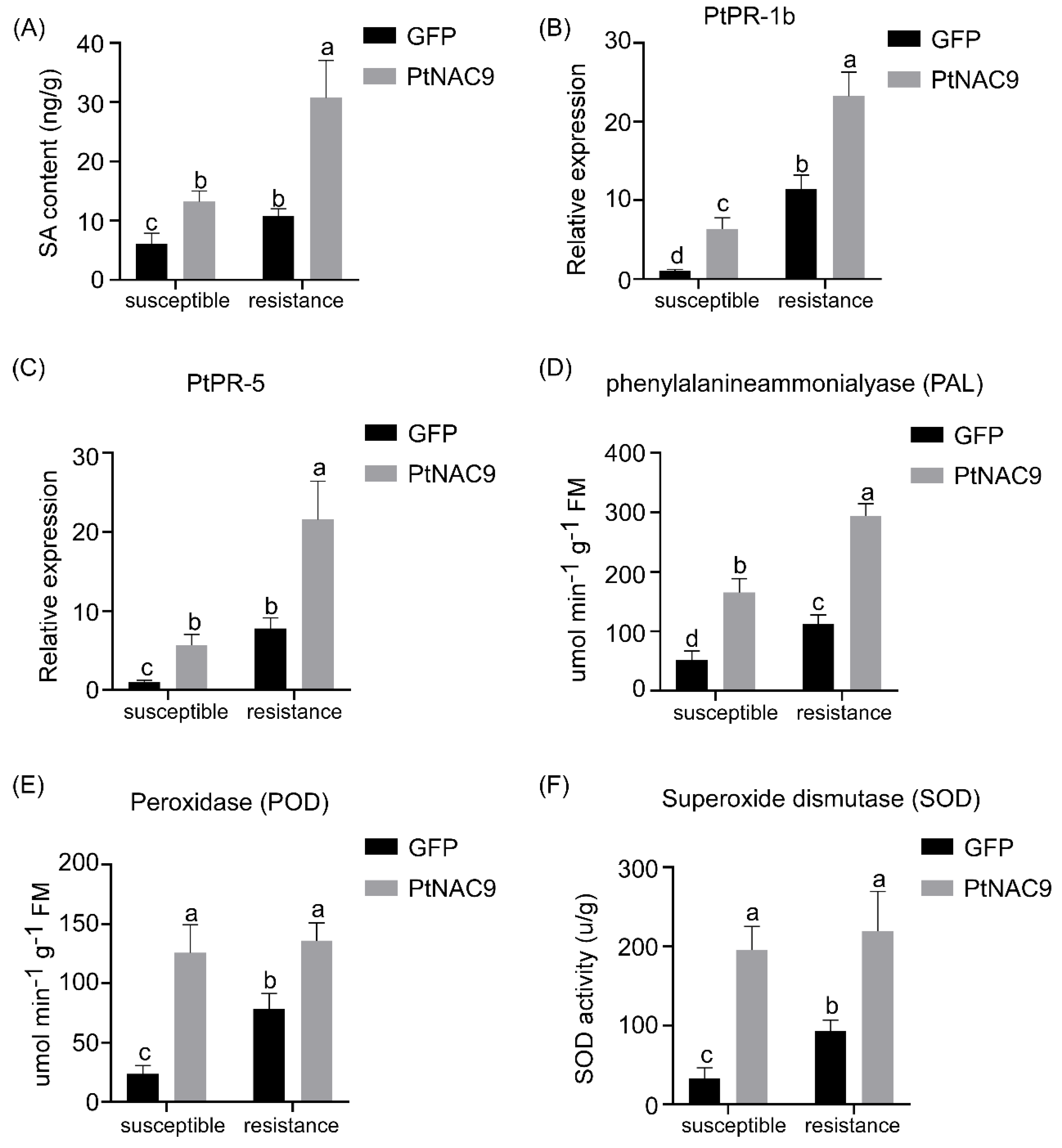 Forests 15 01538 g006