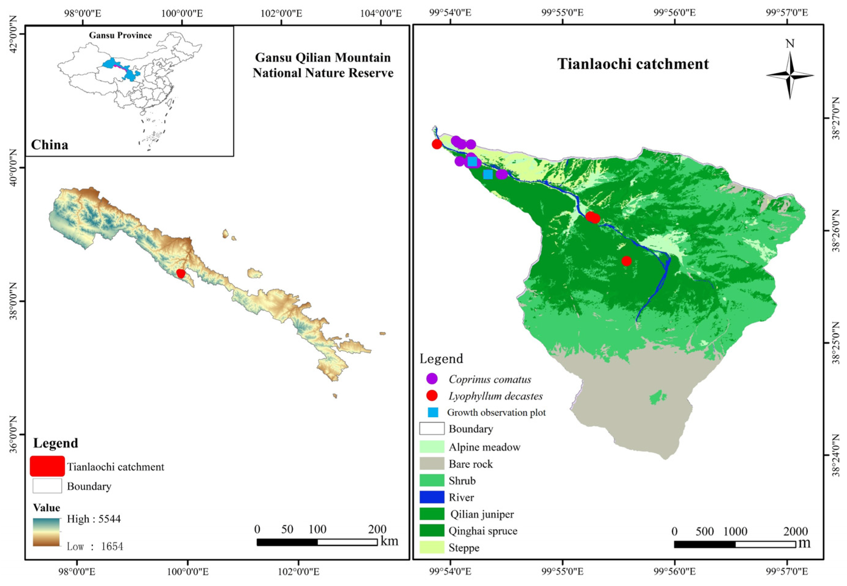 Forests 15 01552 g002